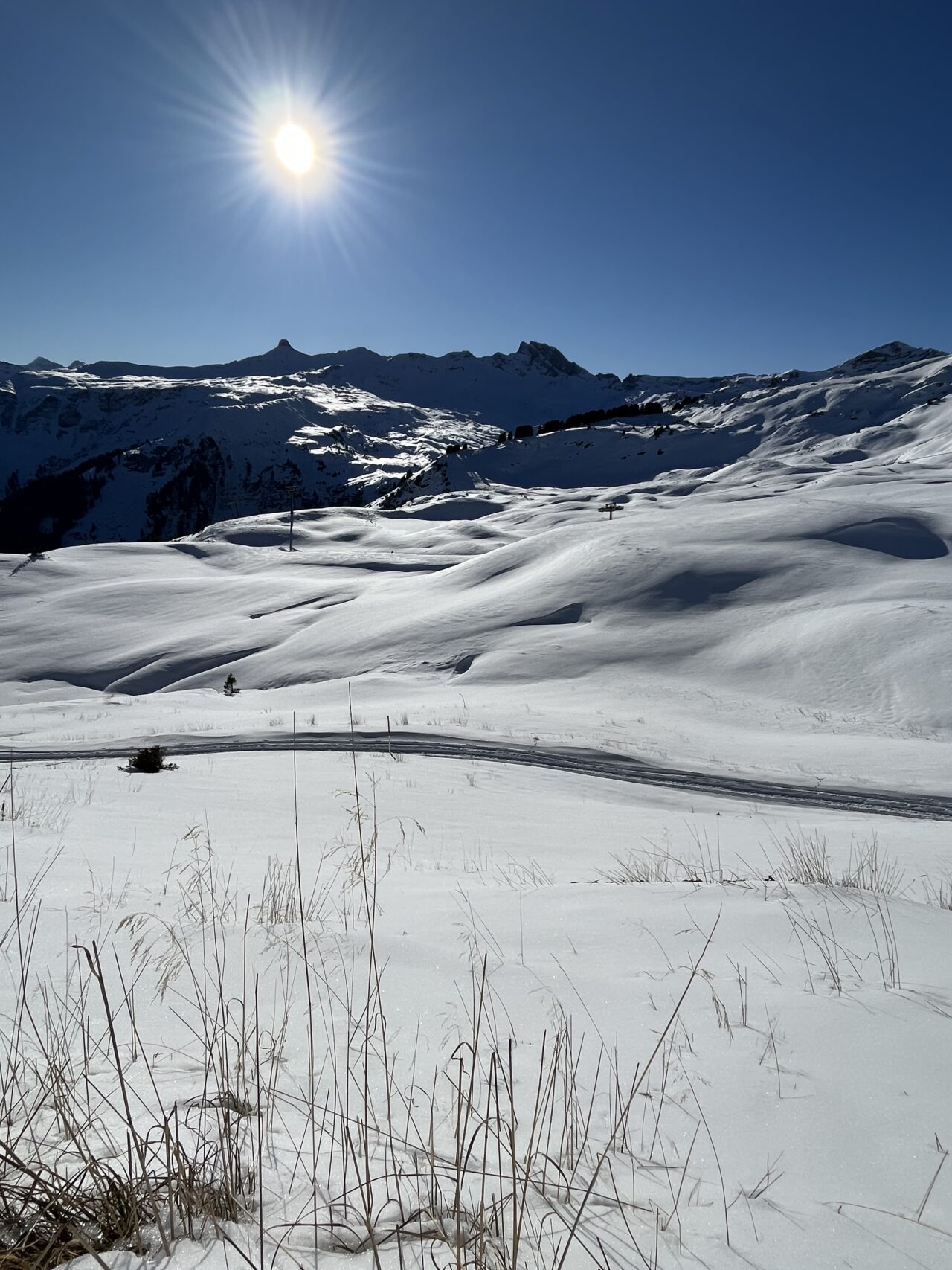schneeschuhwandern-flumserberg-_IMG_7920