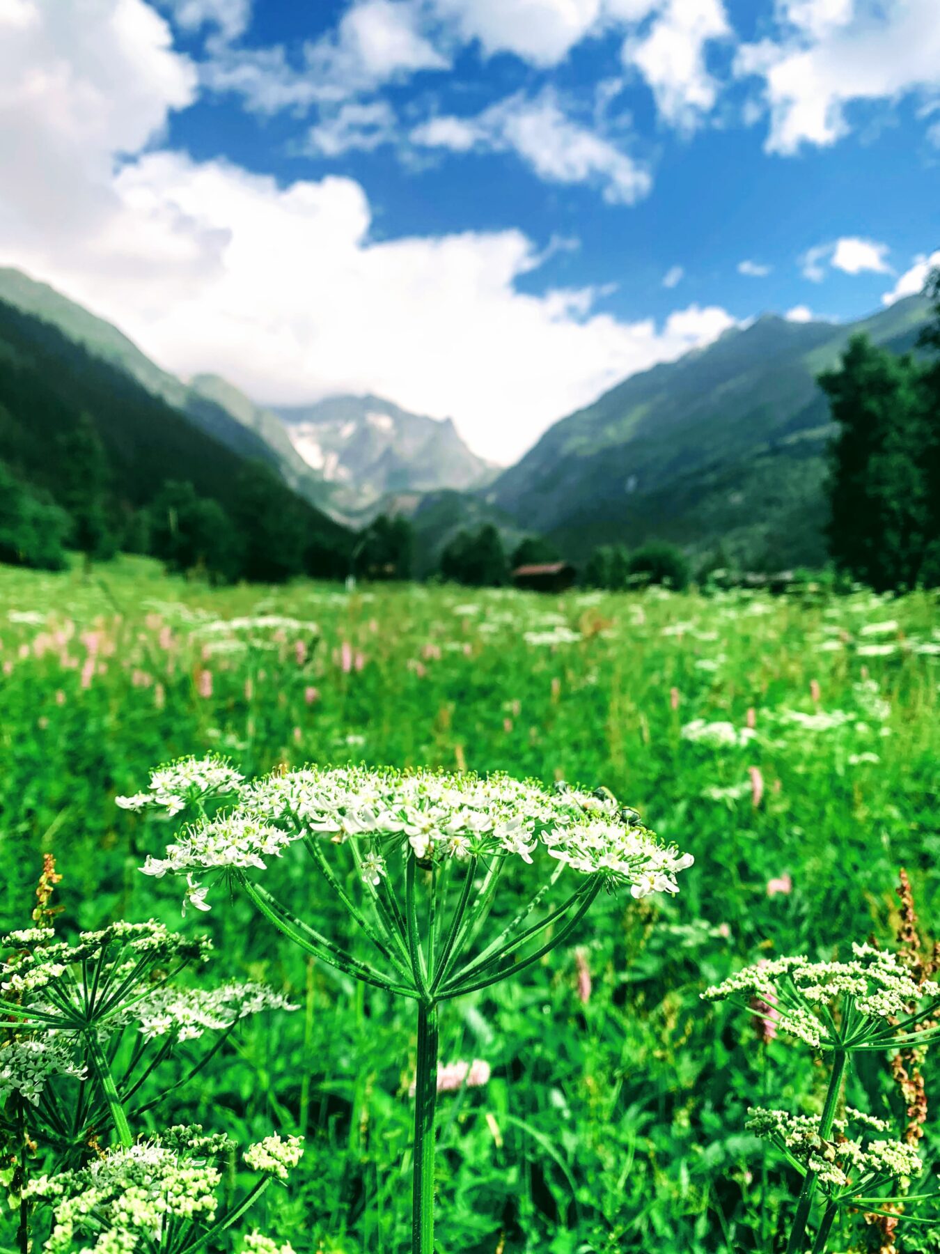wanderung_fiesch_ernen_