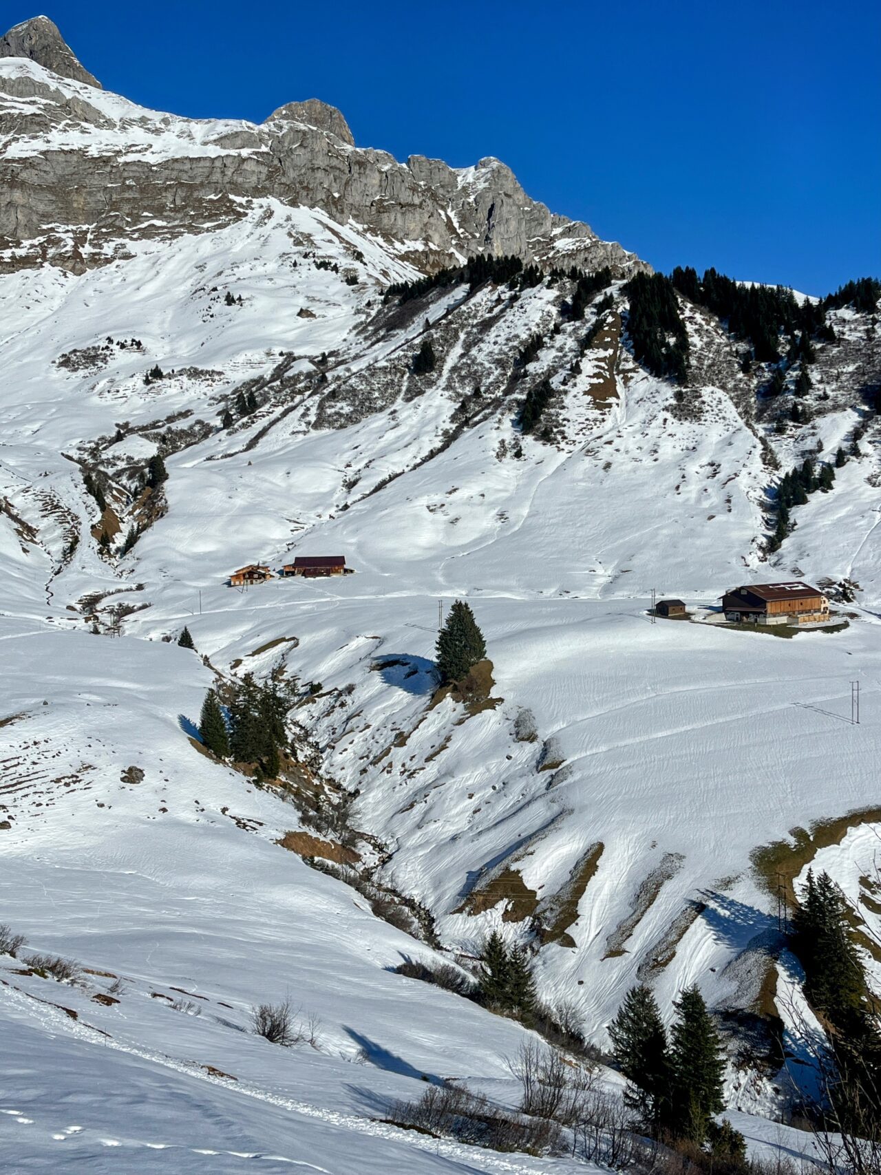Schneeschuhe_winterwandern_eggberge_hueenderegg_ratzi__IMG_5685