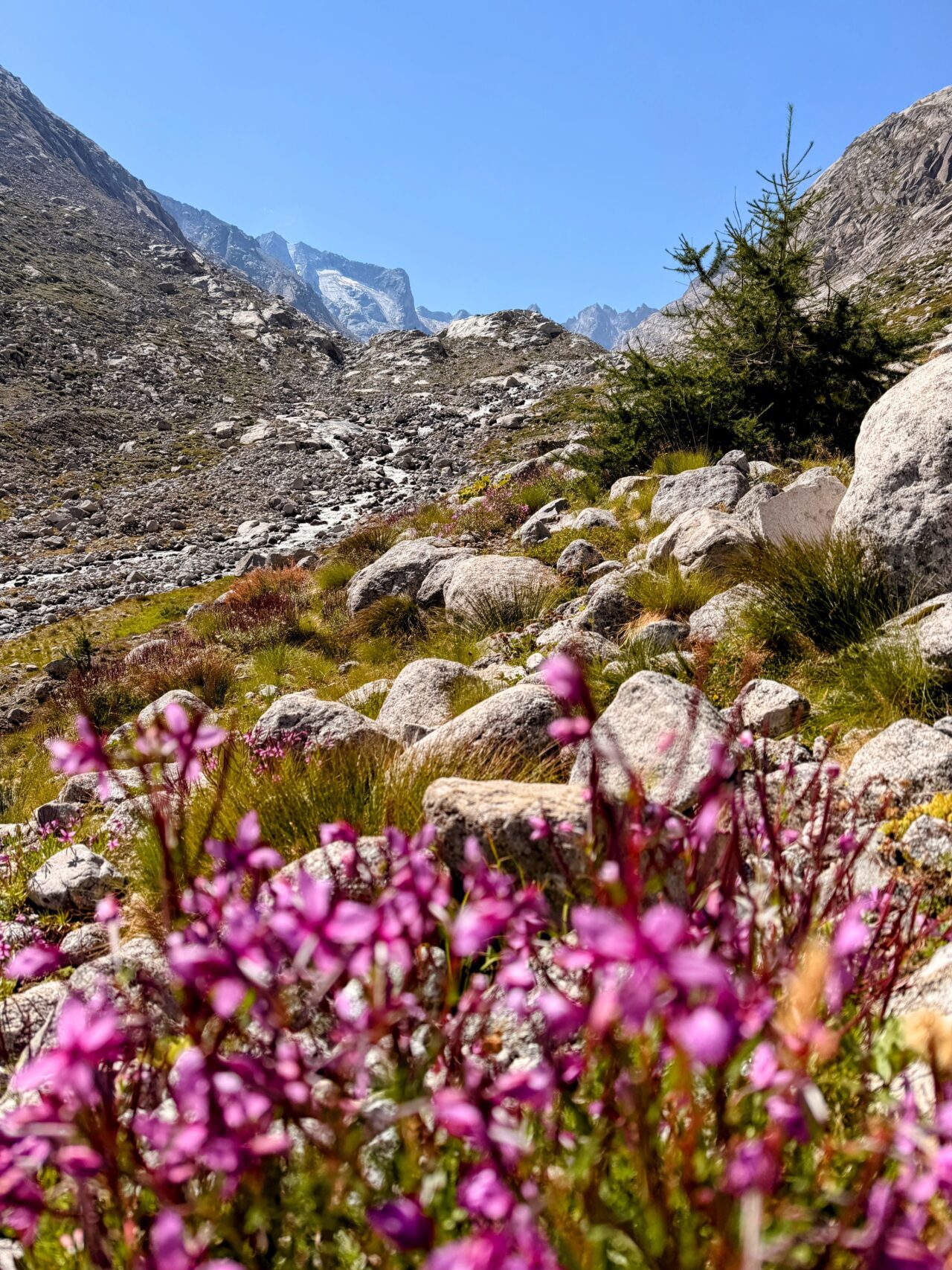 wanderung_sentiero_alpino_bregaglia_maloja_albignahuette__IMG_0153