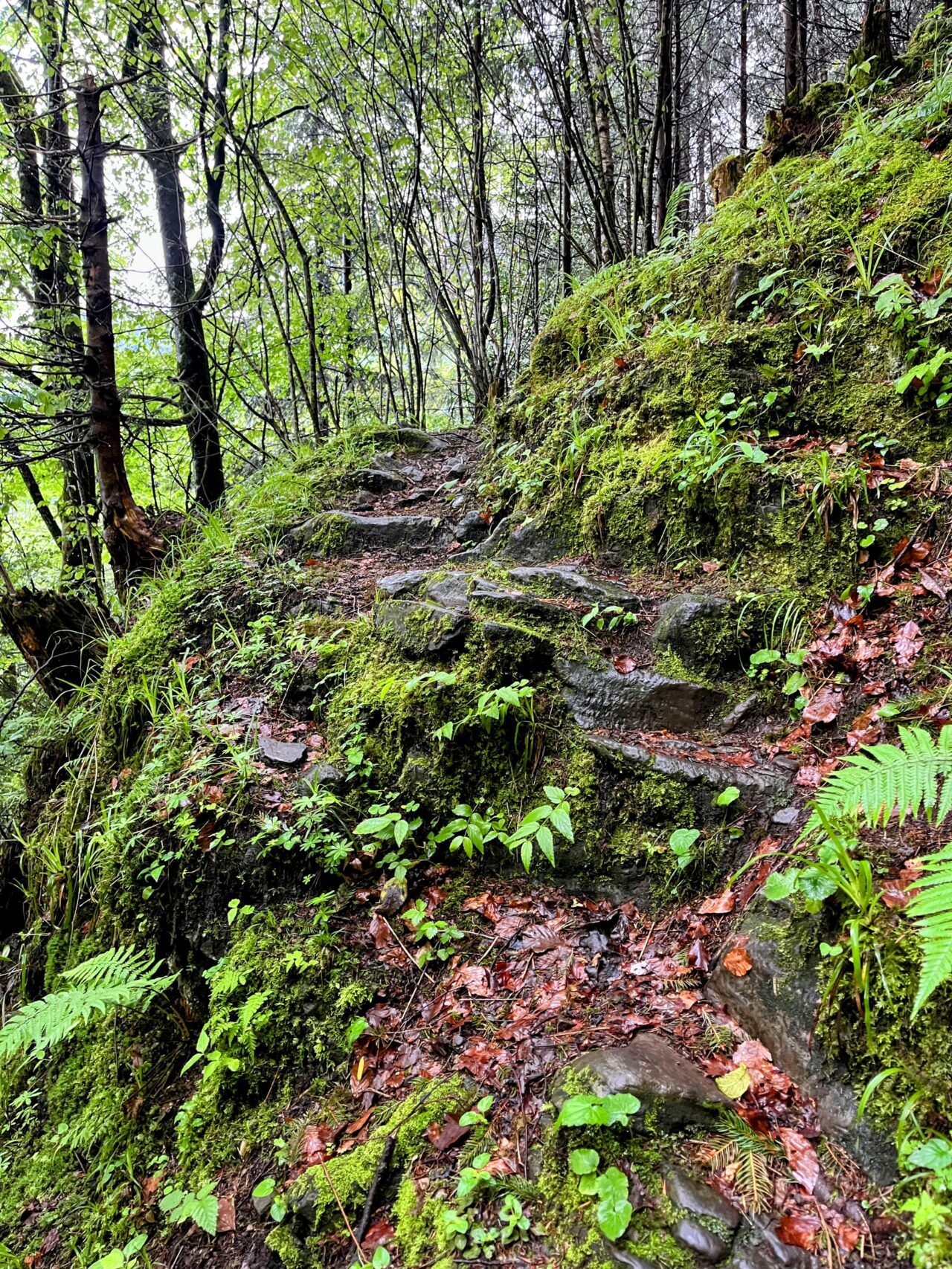 wanderung_hintere_unteriberg_stoos_fronalpstock_