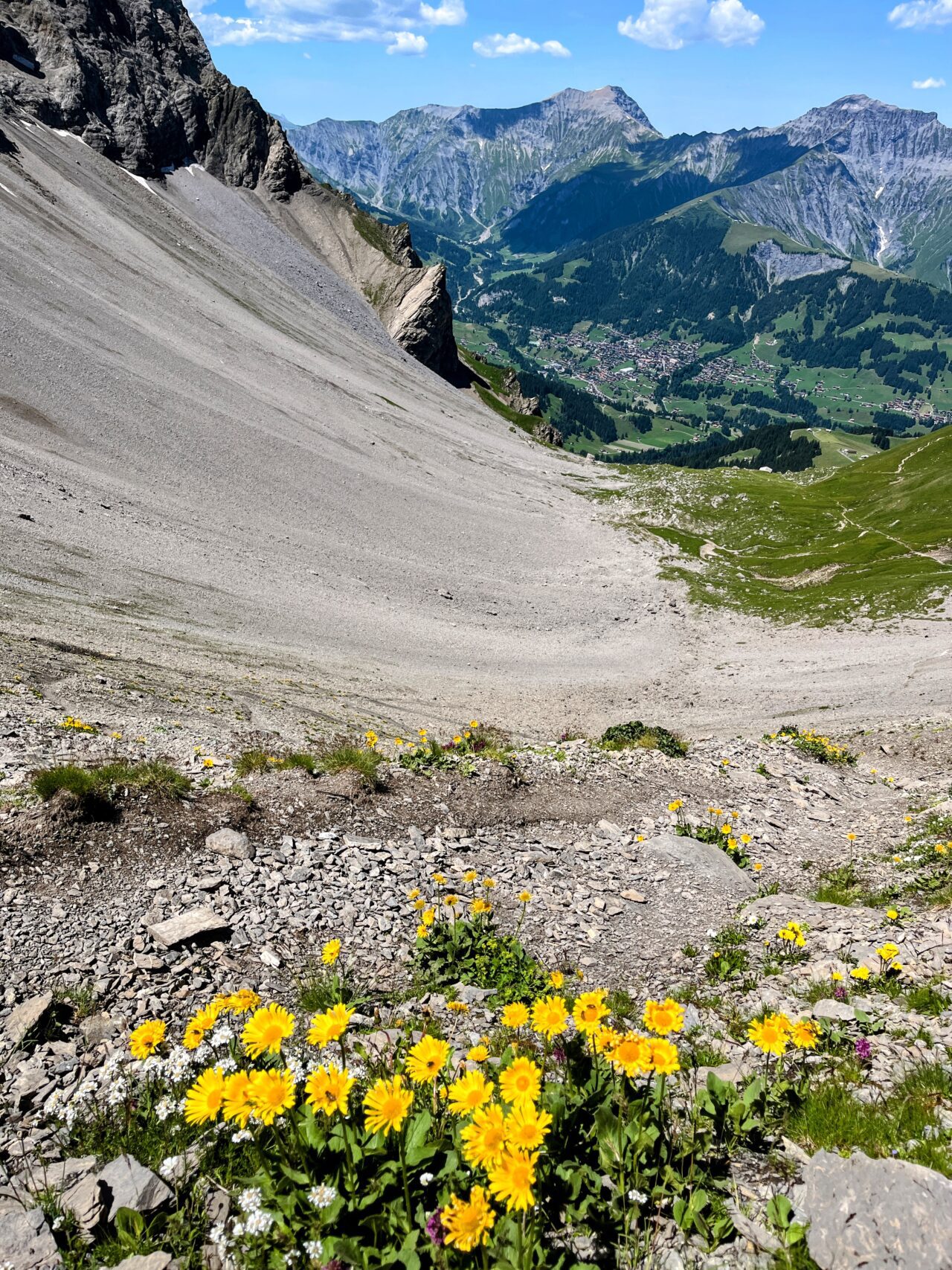 wanderung_via_alpina_etappe_14_kandersteg_adelboden_