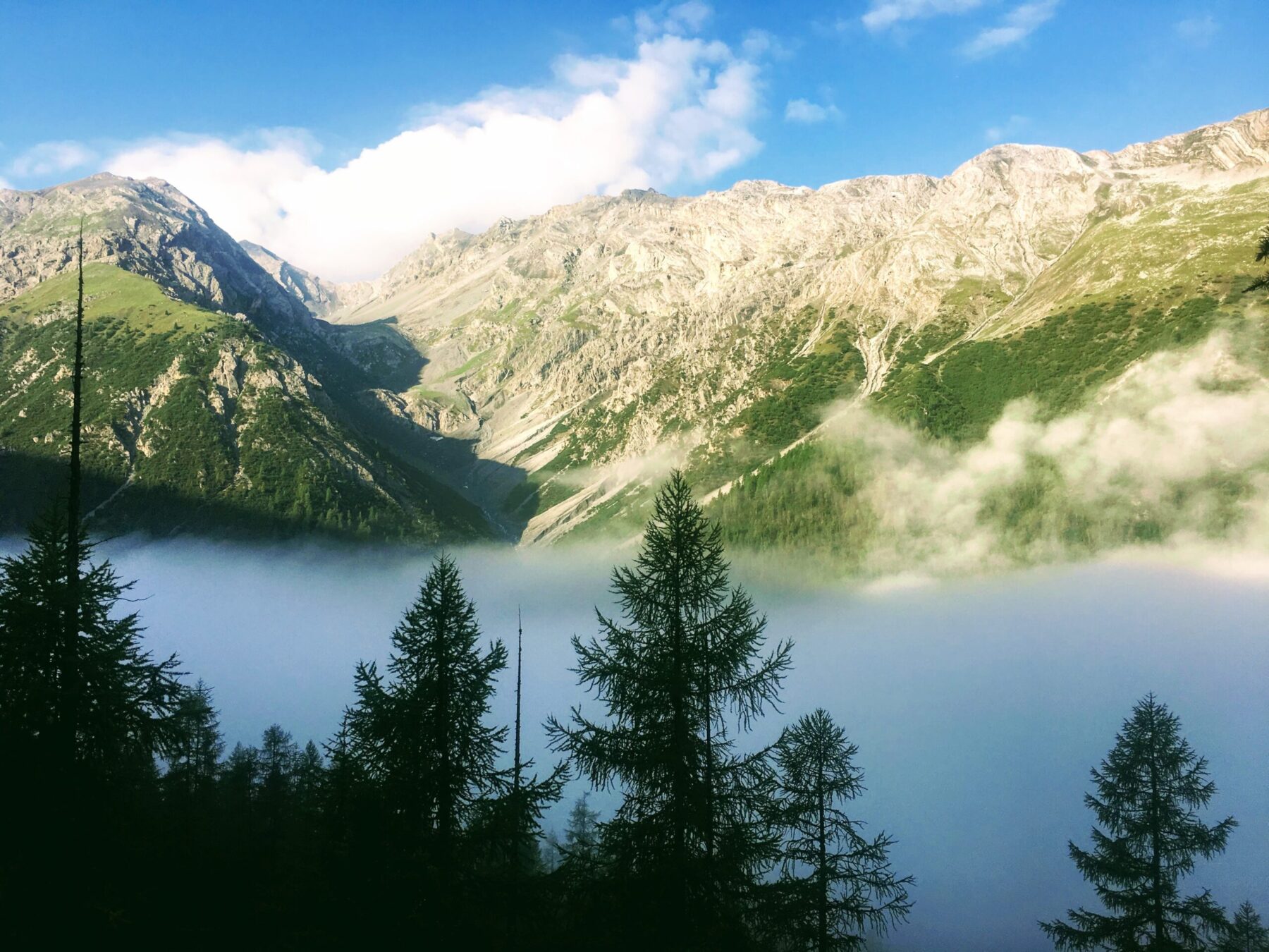 wanderung_zernez_nationalpark_chamanna_cluozza_