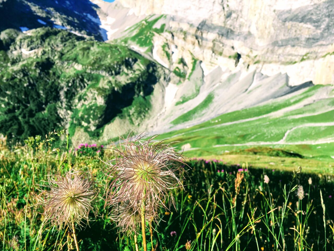 tour_du_dents_du_midi