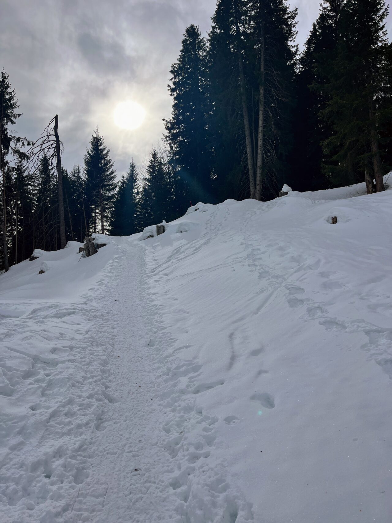 schneeschuhwanderung_grüsch_furna__IMG_4205