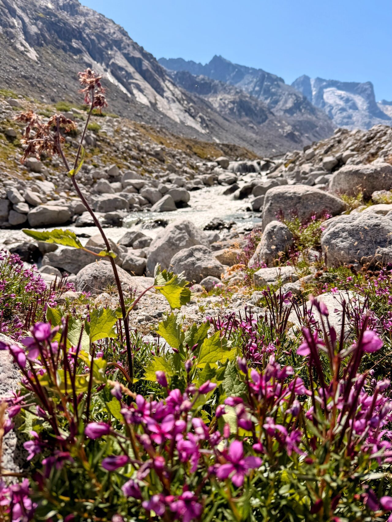 wanderung_sentiero_alpino_bregaglia_maloja_albignahuette__IMG_0158