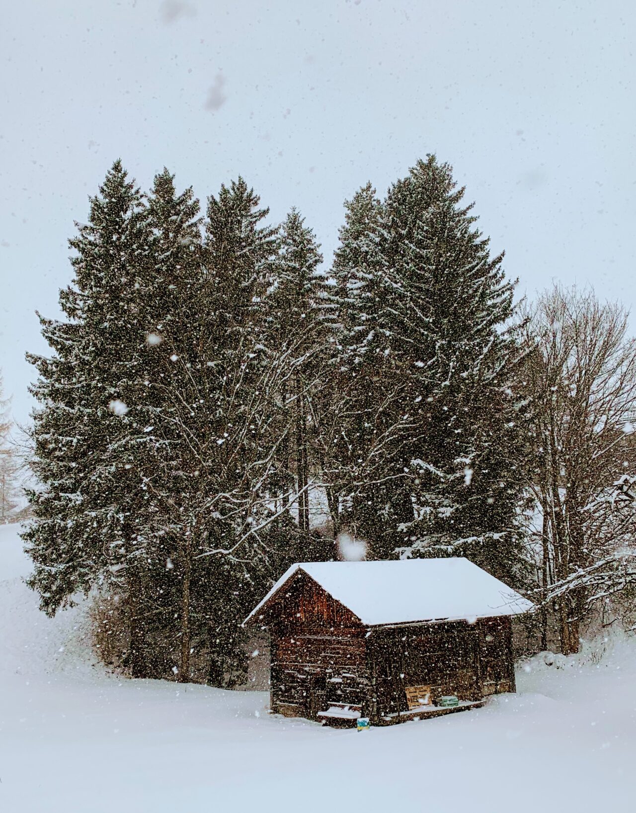 via_alpina_etappe_1_gaflei_sargans_