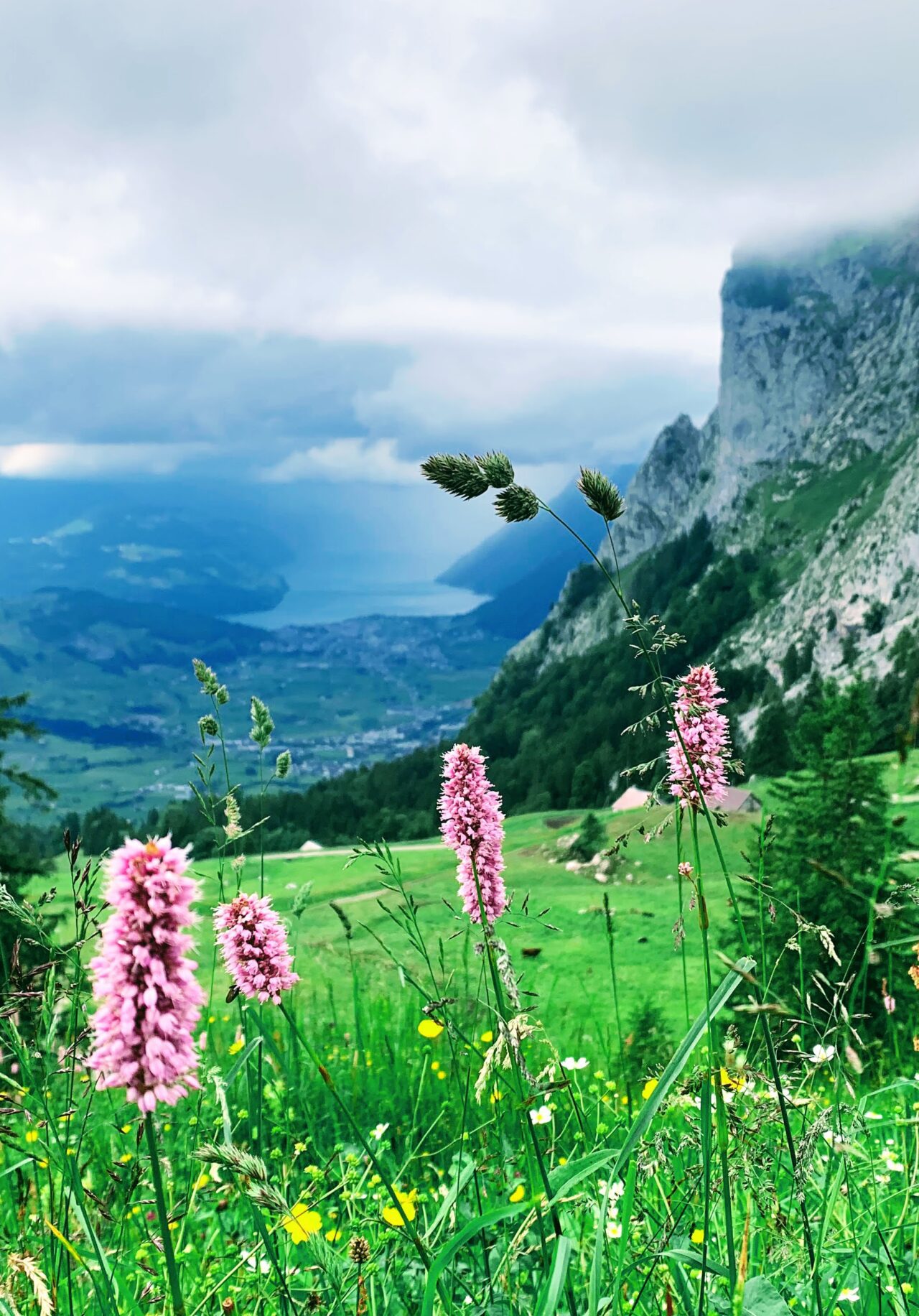 wanderung_7_egg_hoch_ybrig_