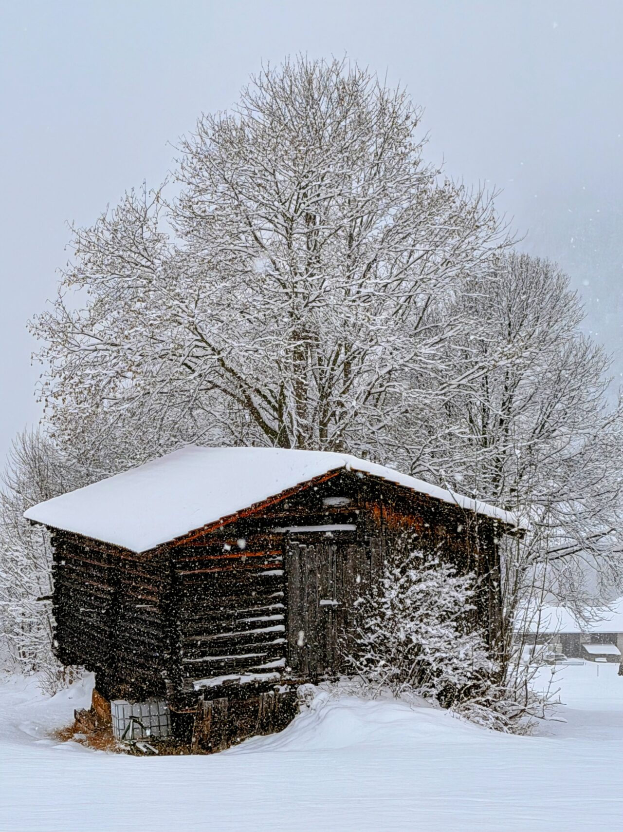 schneeschuhwanderung_klosters_schlappin_