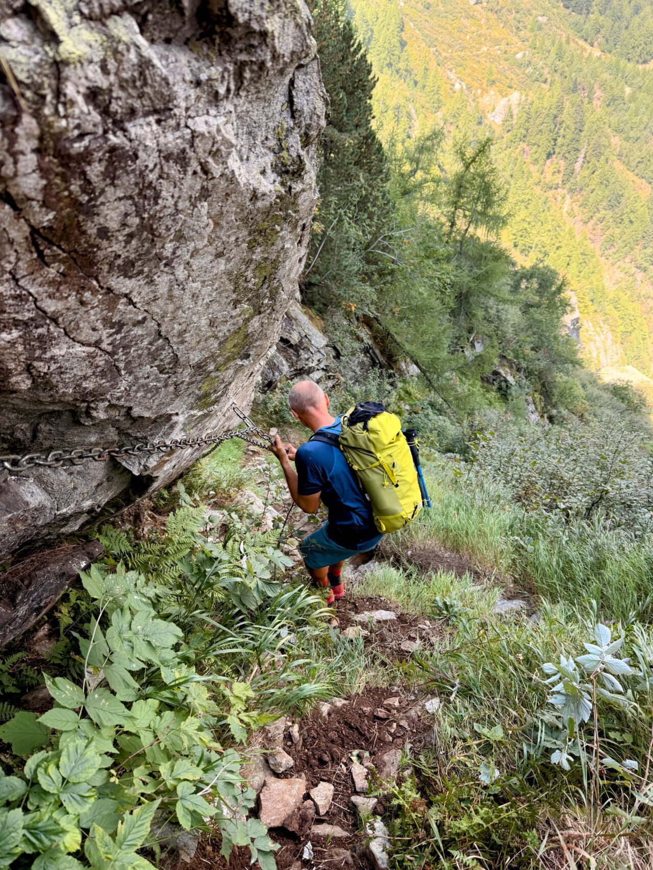 wanderung_sentiero_alpino_bregaglia_sasc_furae_huette_bondo__IMG_0583