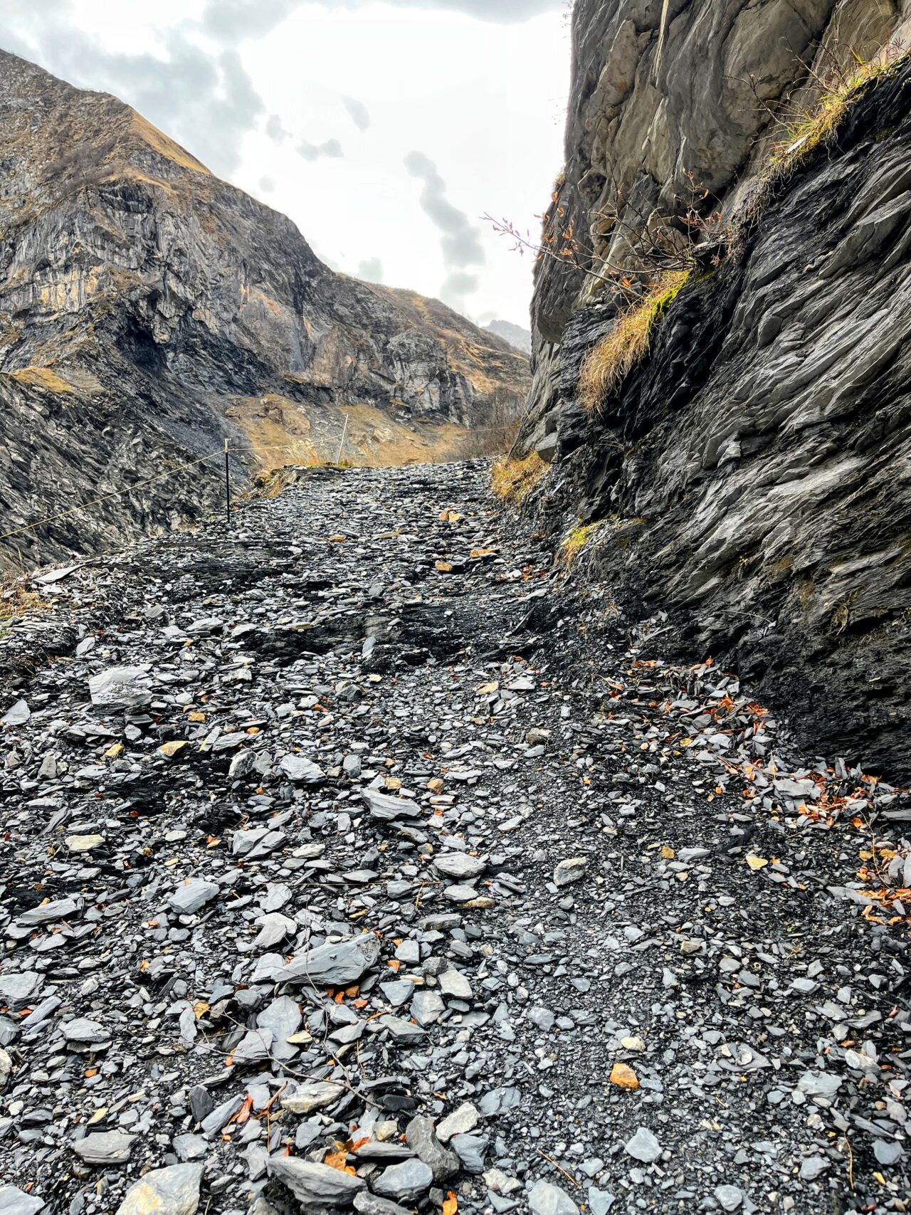 via_alpina_etappe_3_weisstannen_elm_