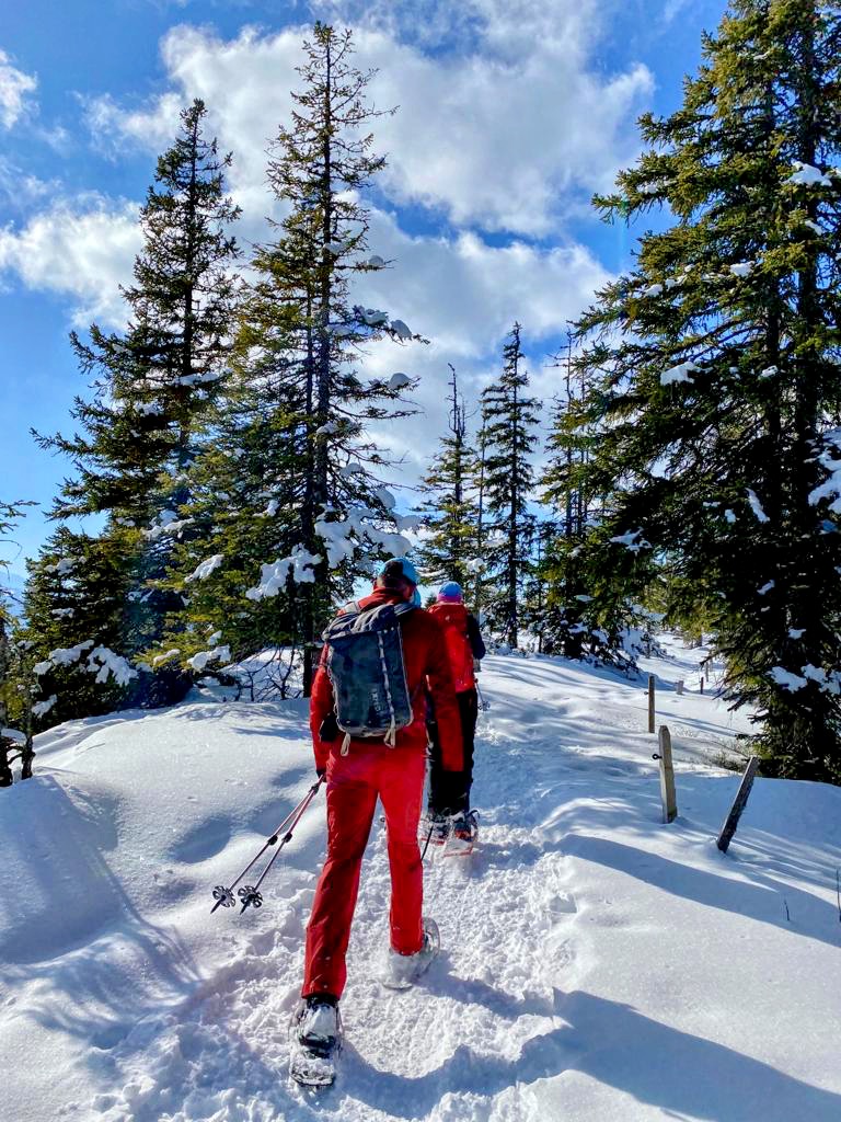 schneeschuhwandern-jaenzi-_6bde7166-0d26-4b2c-8fce-777fa7e890b7 (Kopie)
