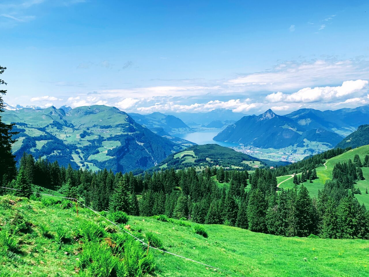 wanderung_7_egg_hoch_ybrig_