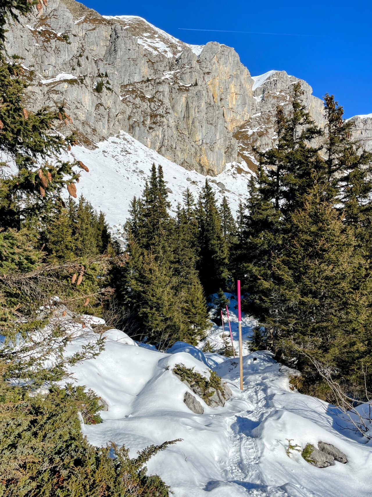 Schneeschuhe_winterwandern_eggberge_hueenderegg_ratzi__IMG_5668