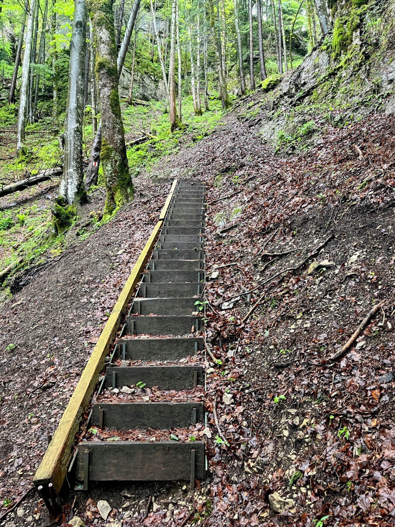 wanderung_hintere_unteriberg_stoos_fronalpstock_