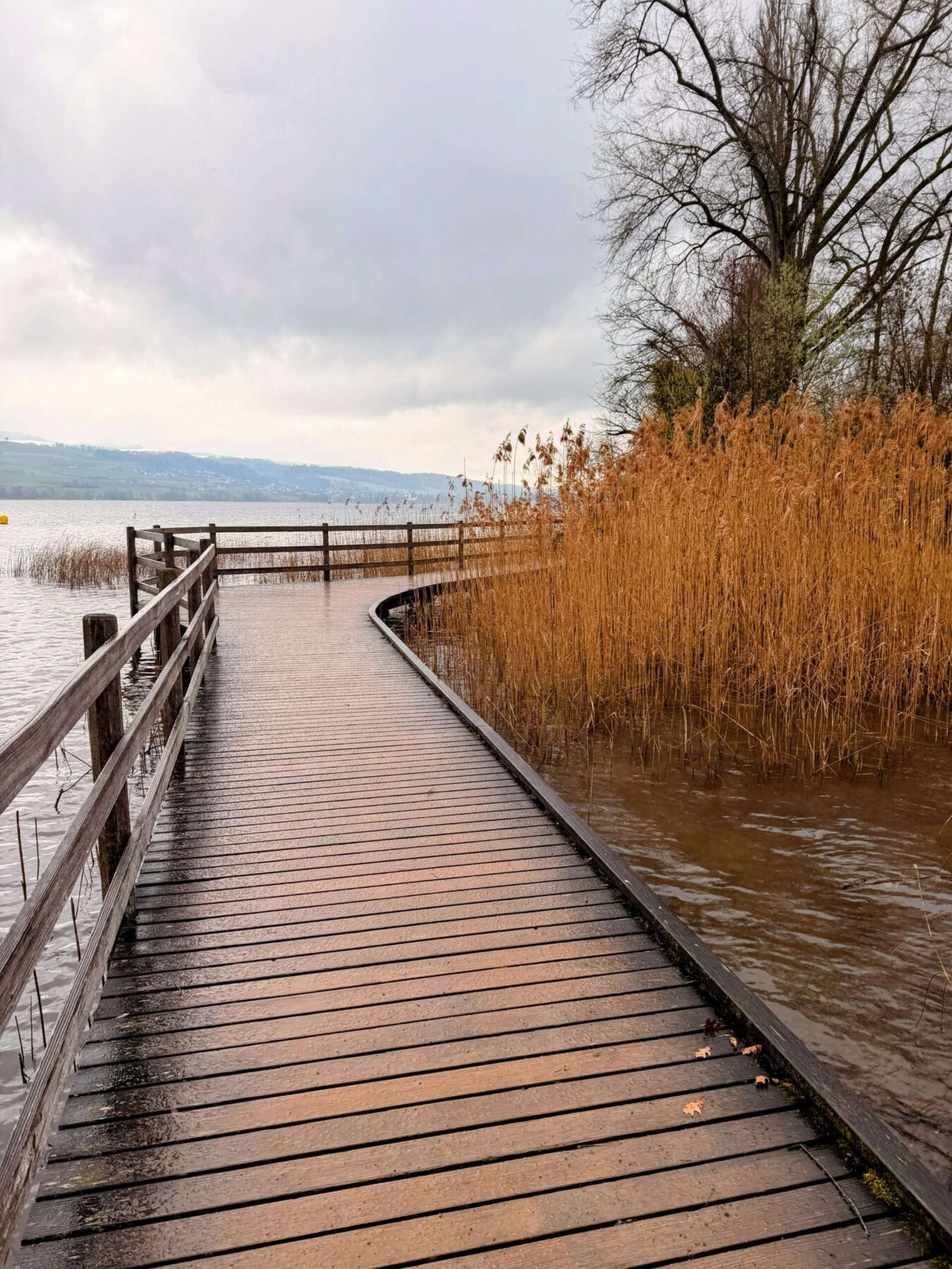 wanderung_umrundung_hallwiler_see_