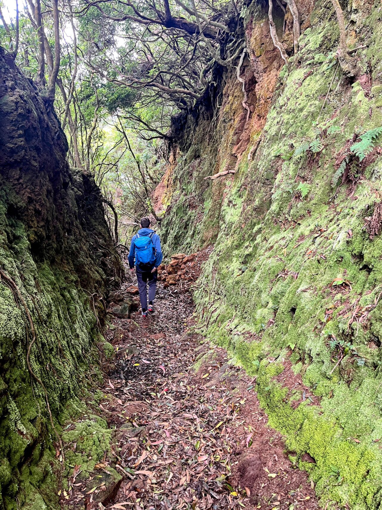 wanderung_ilha_a_pe_tag_3_lapa_norte_