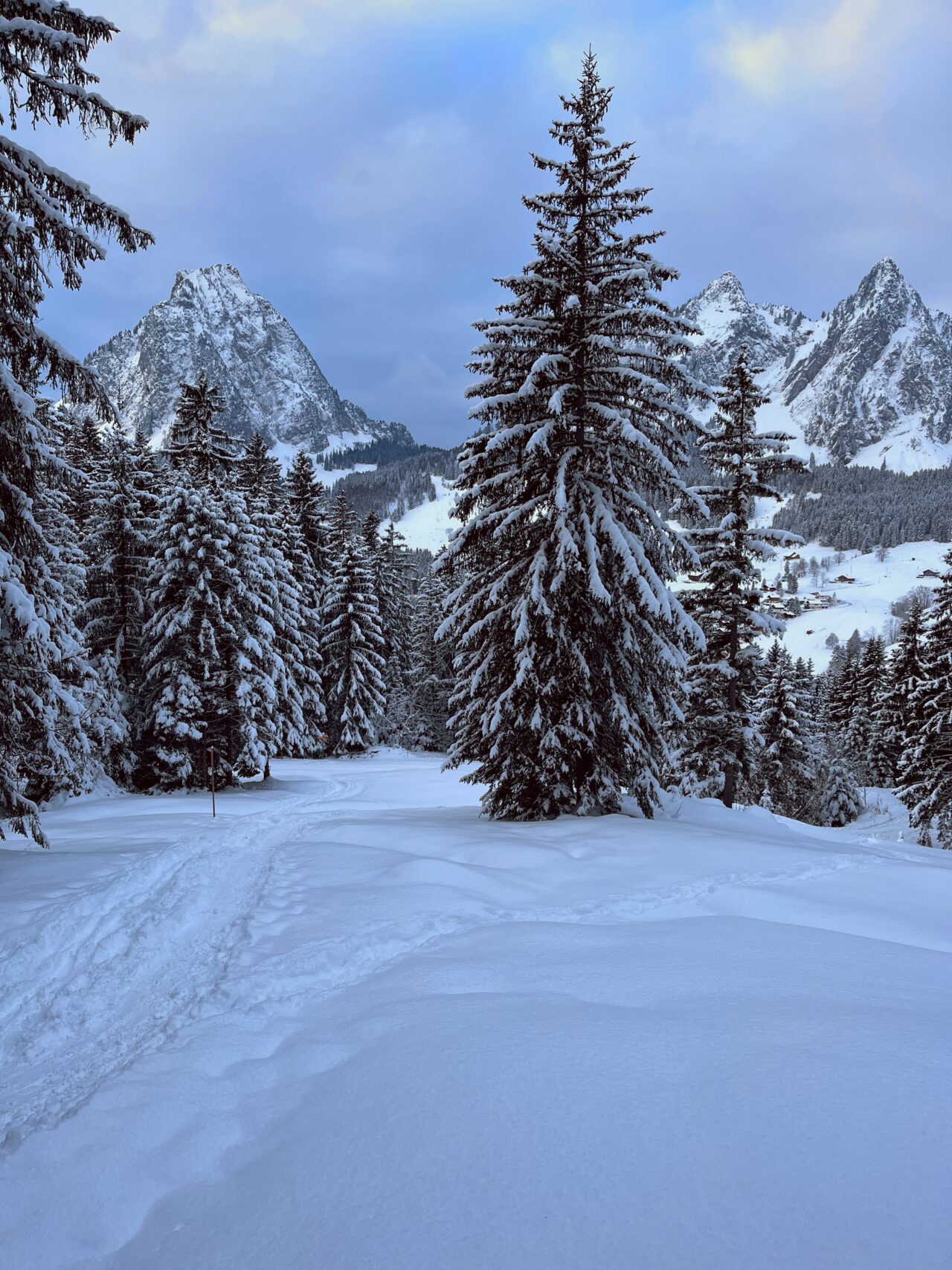 schneeschuhwanderung-furggelenstock-_IMG_9238 (Kopie)