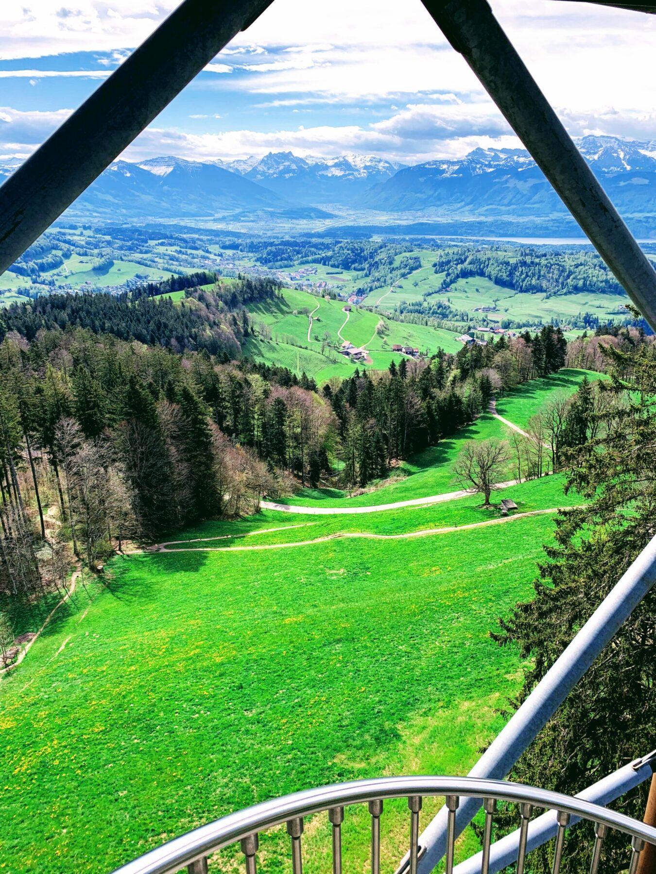 wanderung_bachtel_bachtelspalt_wald_