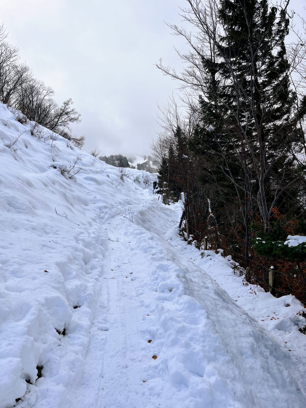 schneeschuhwanderung_schnebelhorn__IMG_2449