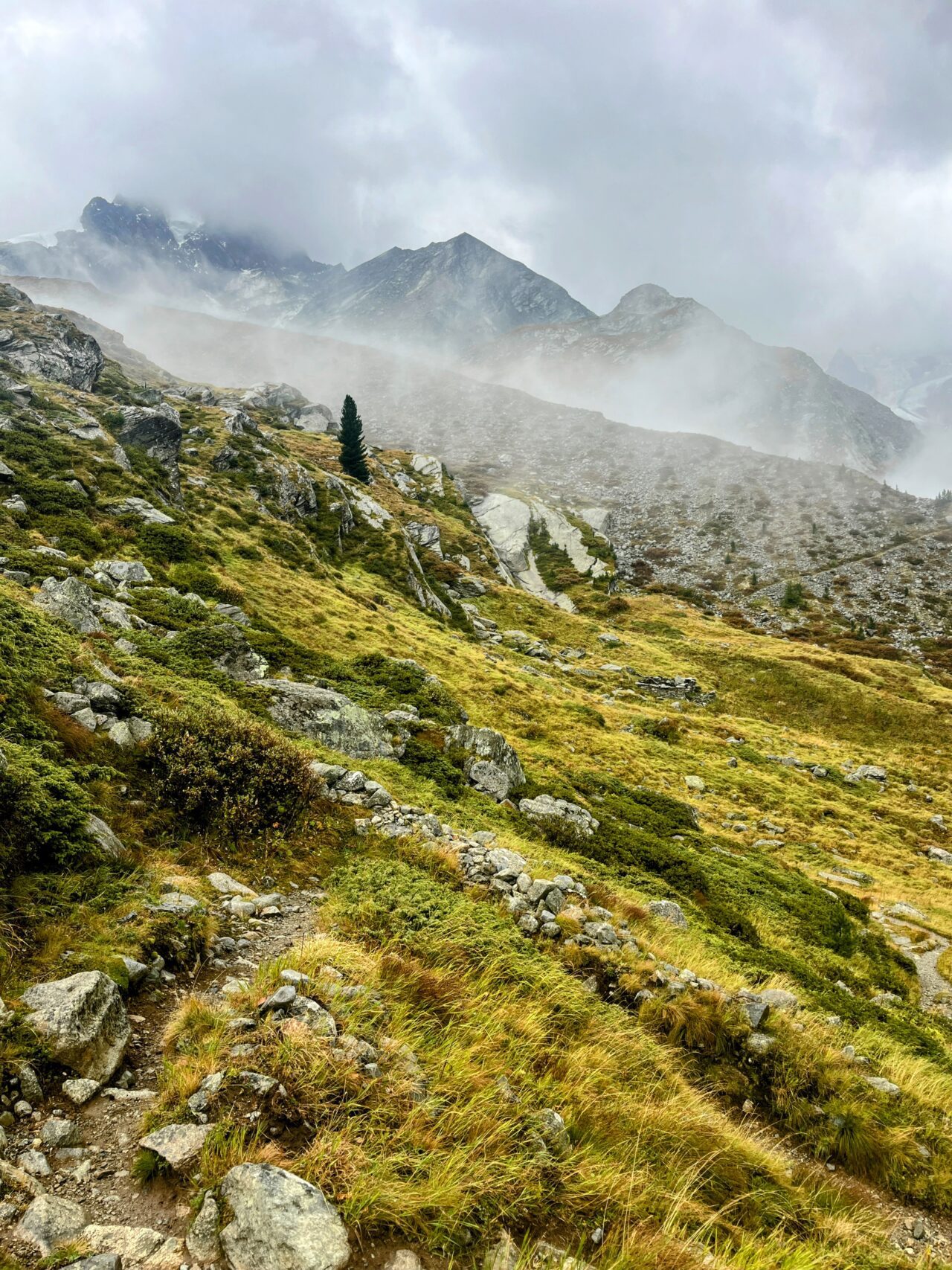 wanderung_bernina_trek_tag_4_murtel_val_roseg_