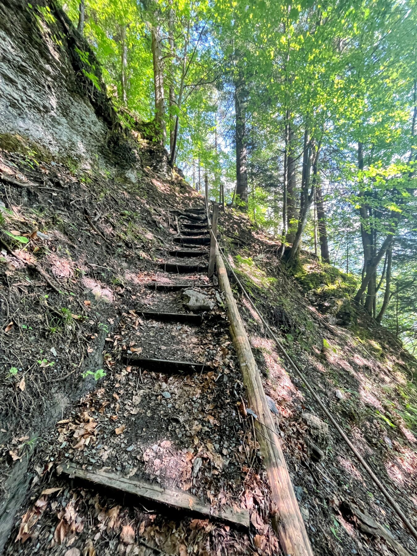 wanderung_via_alpina_meiringen_grindelwald_