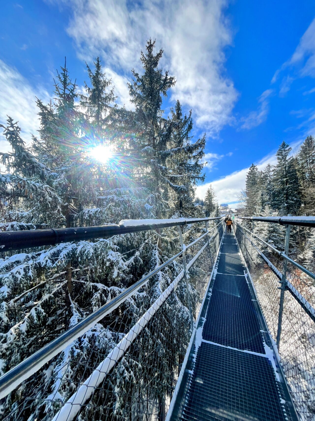 schneeschuhtour_biberegg_hochstuckli_haengebruecke__IMG_2178