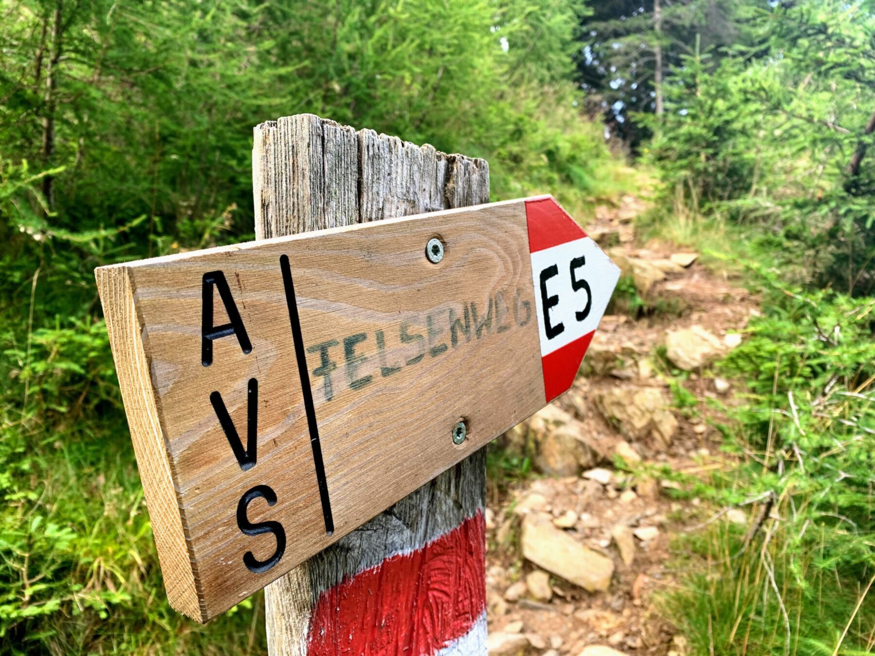 alpenueberquerung_mit_kindern_etappe_9_pfandler_alm_hirzer_huette_