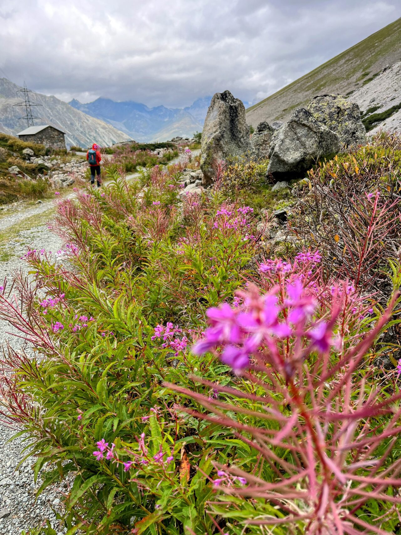 wanderung_bernina_trek_tag_2_eschahuette_jenatschuette_
