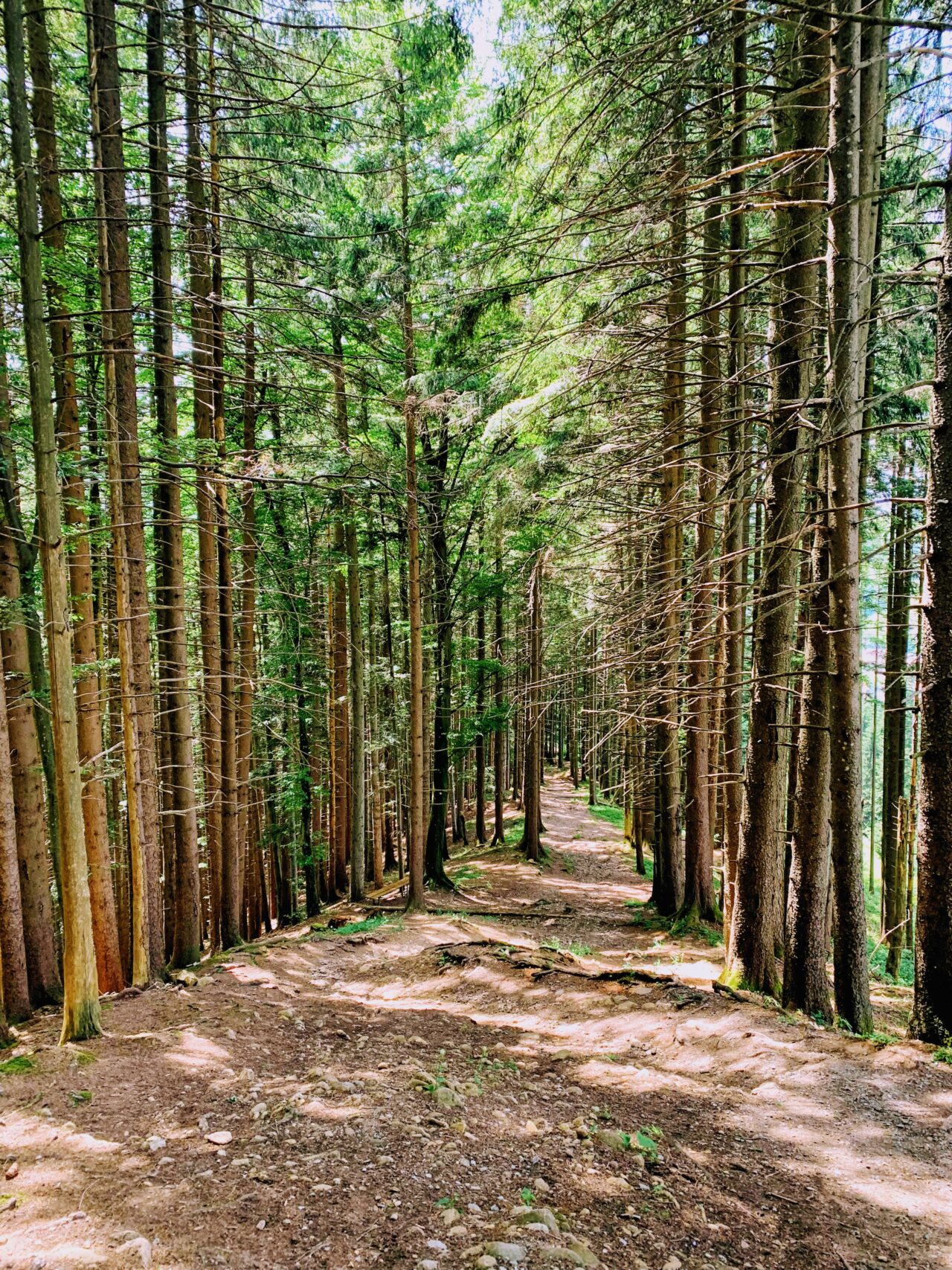 wanderung_gaebris_