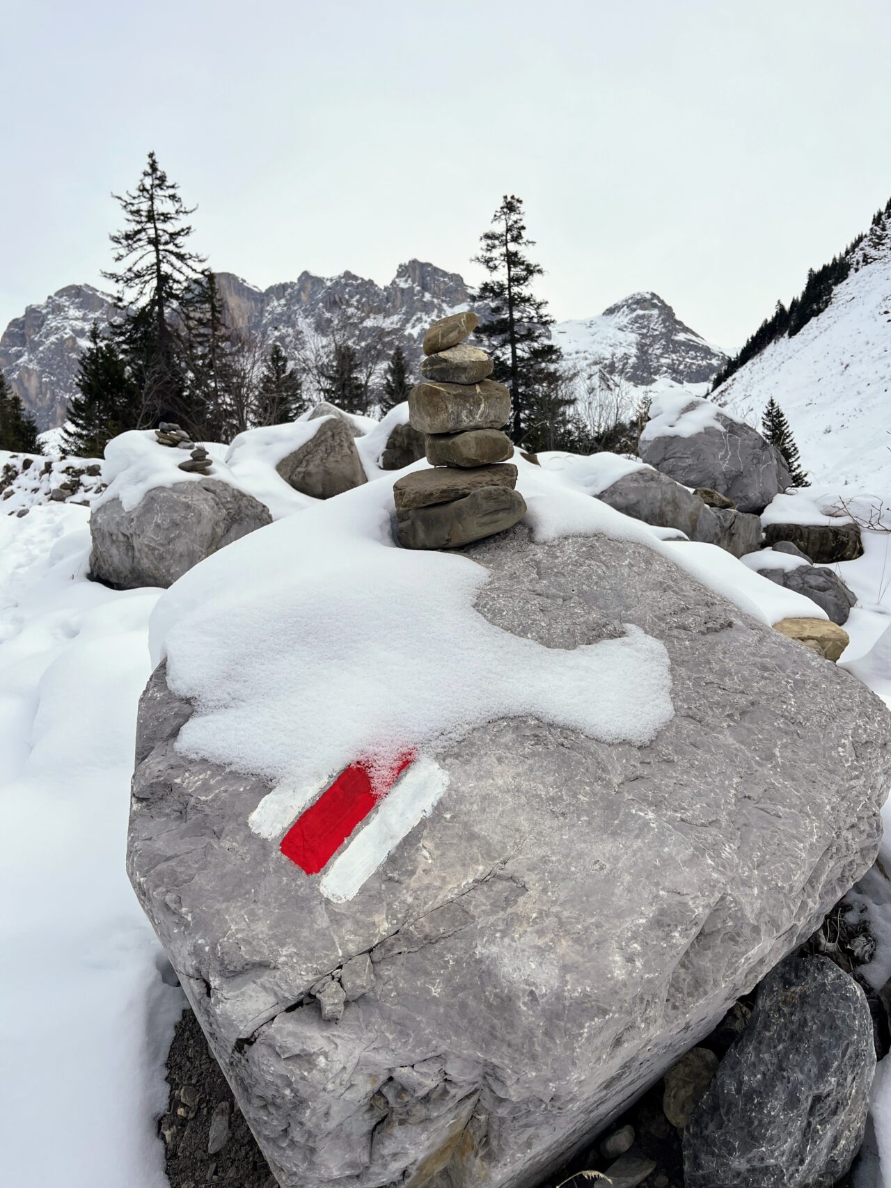 schneeschuhwandern-carschinahuette-_IMG_8053