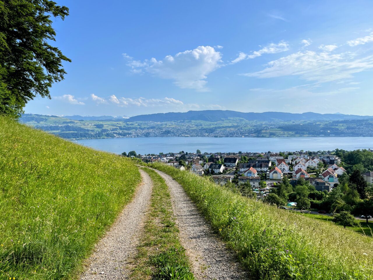 umrundung_zürichsee_schmerikon_stäfa_