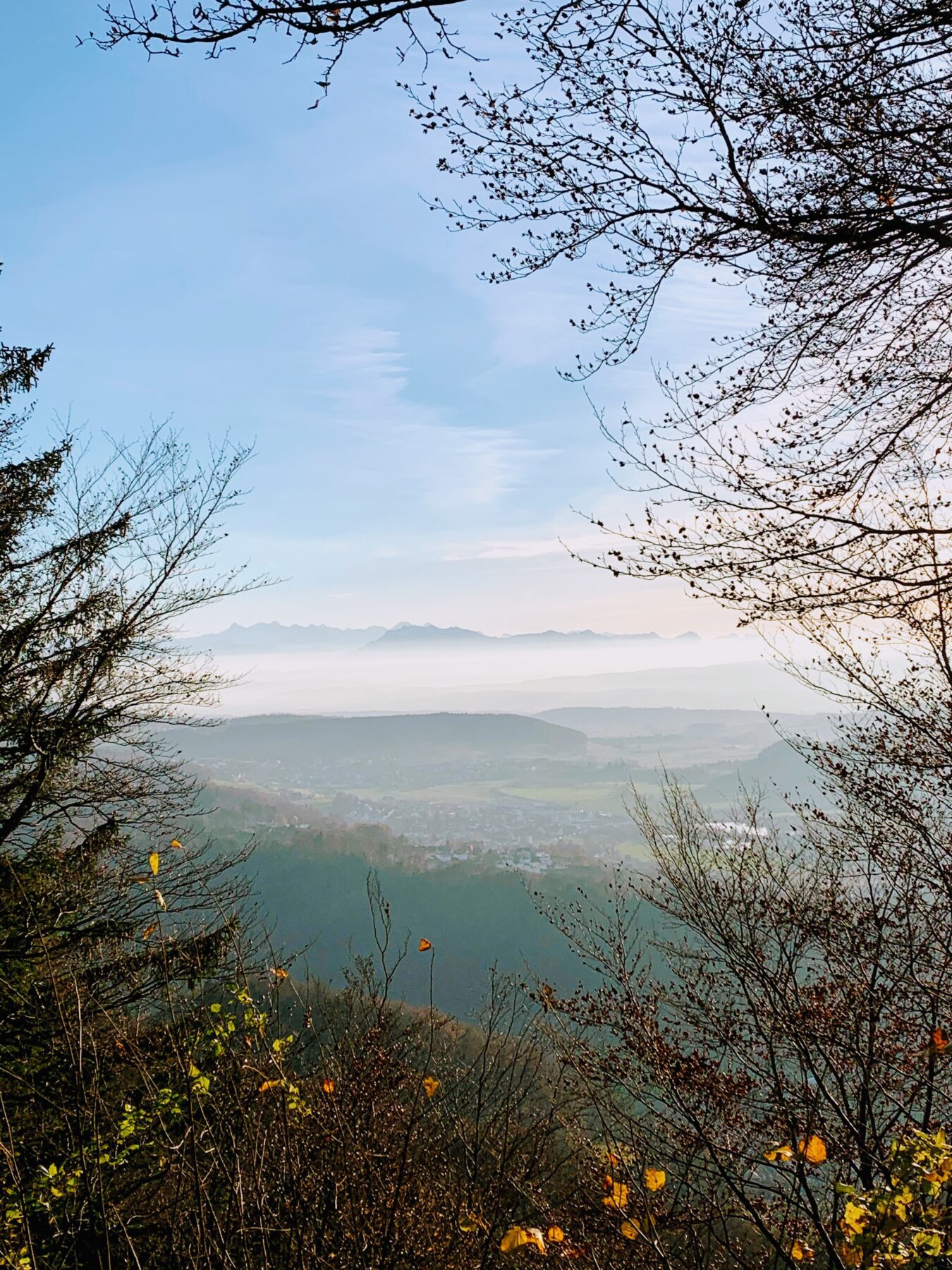 wanderung_Felsenegg_uetliberg_albisgrat_