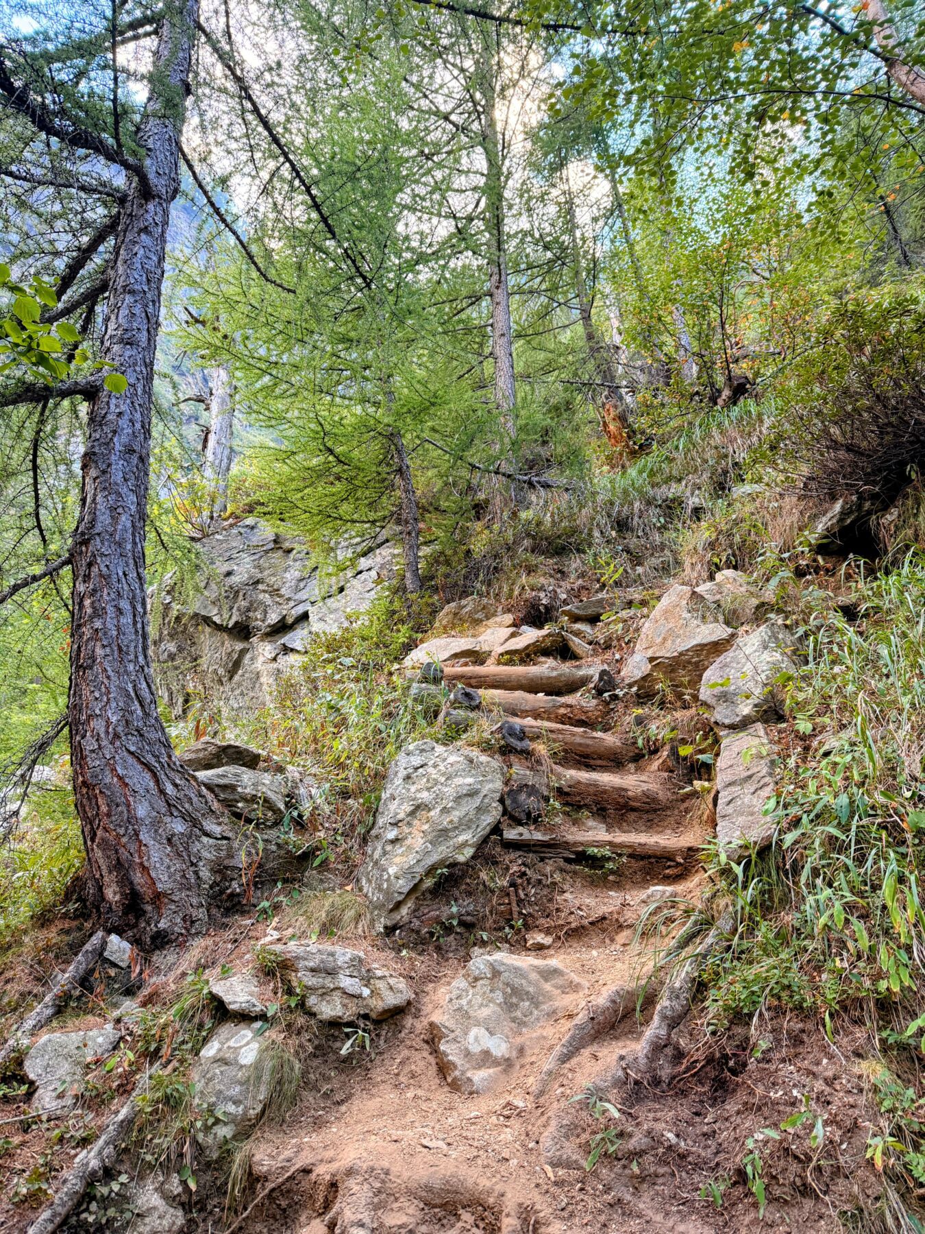 wanderung_sentiero_alpino_bregaglia_sciorahuette_sasc_furae_huette__IMG_0507