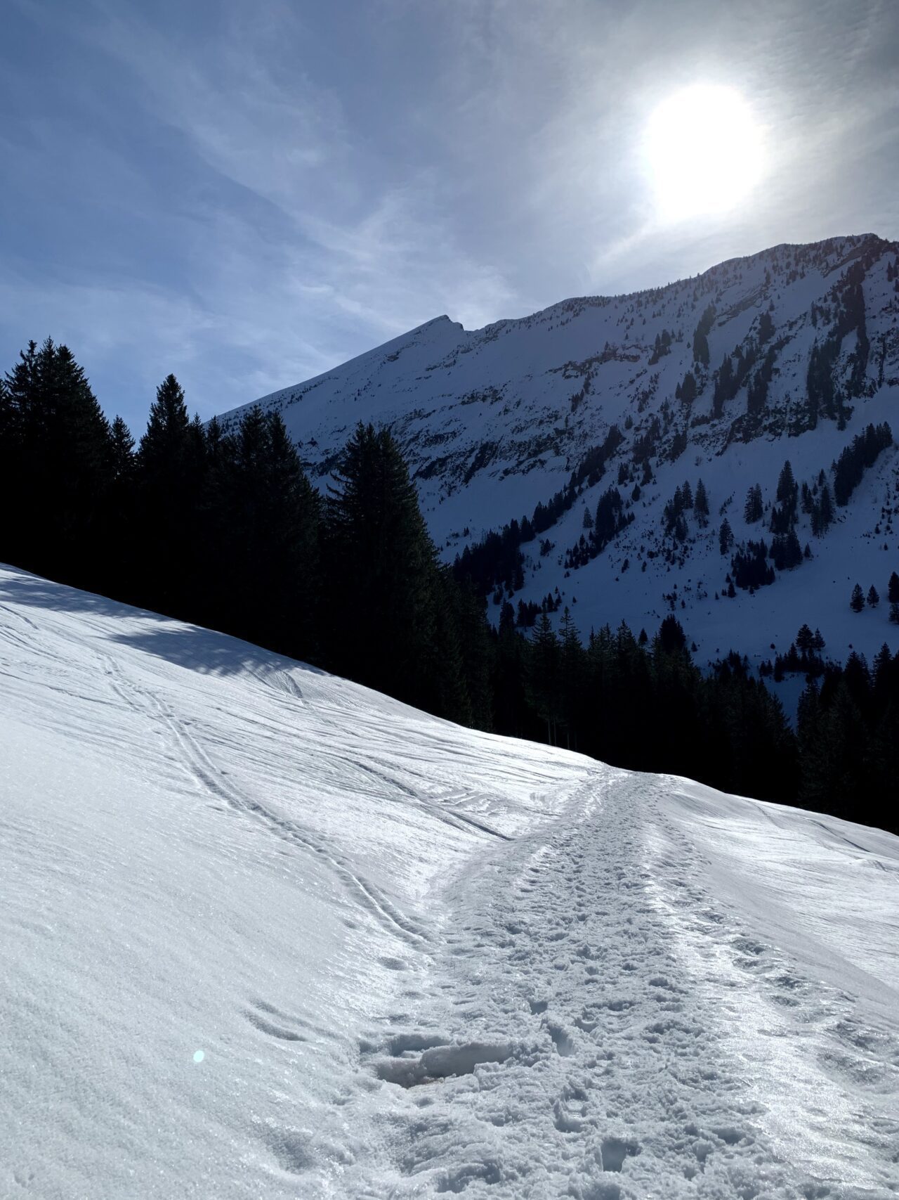 schneeschuhtour_fluegenspitz_