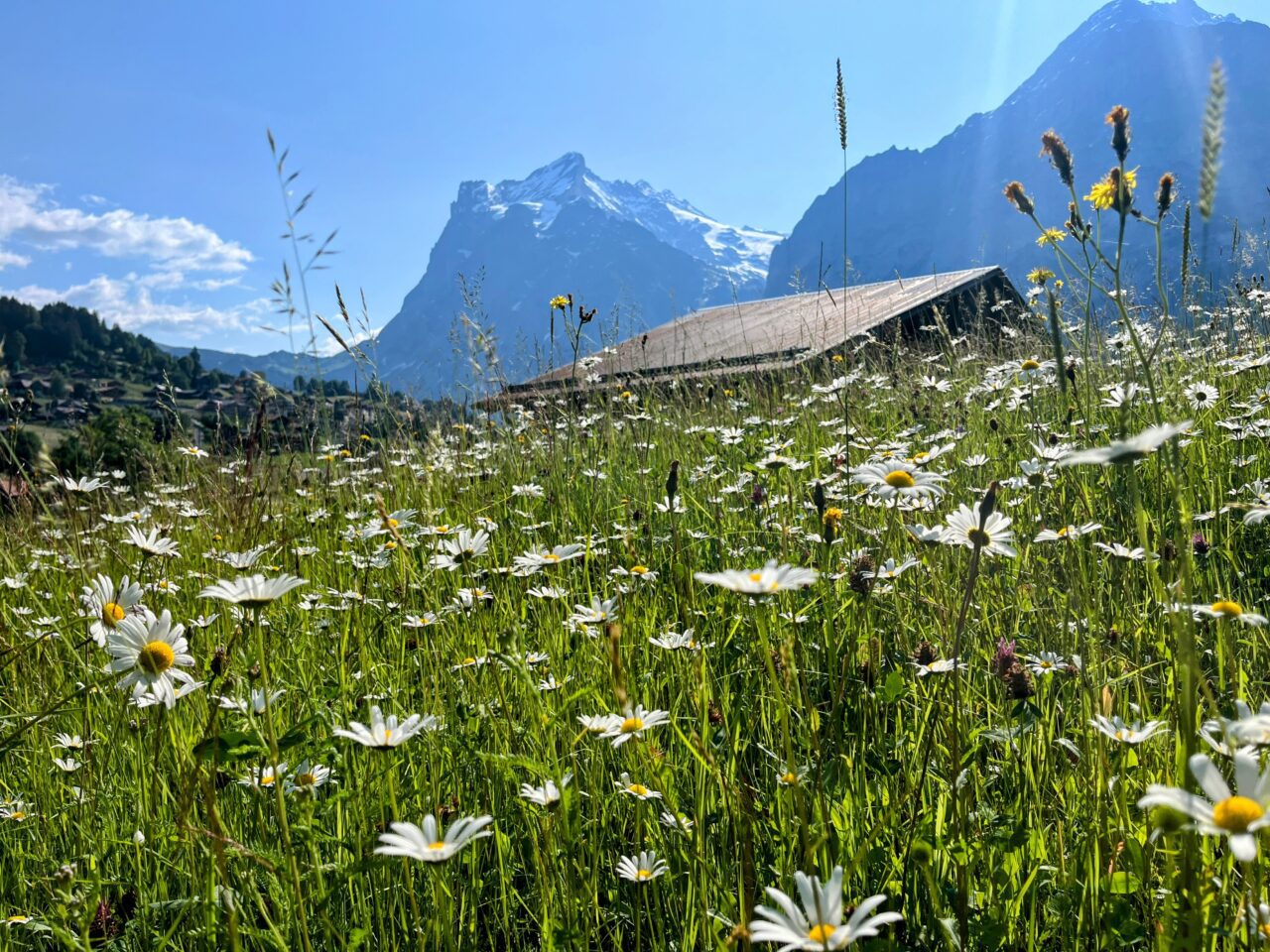 wanderung_via_alpina_grindelwald_lauterbrunnen_