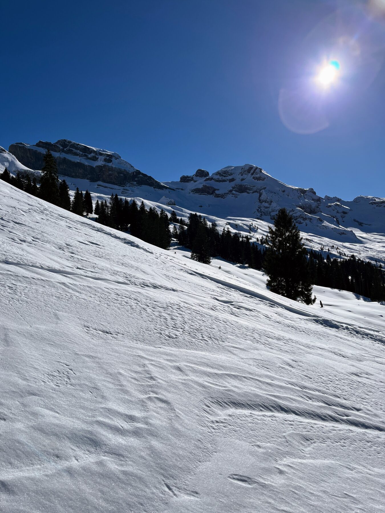 wanderung_druesberghütte__IMG_1321