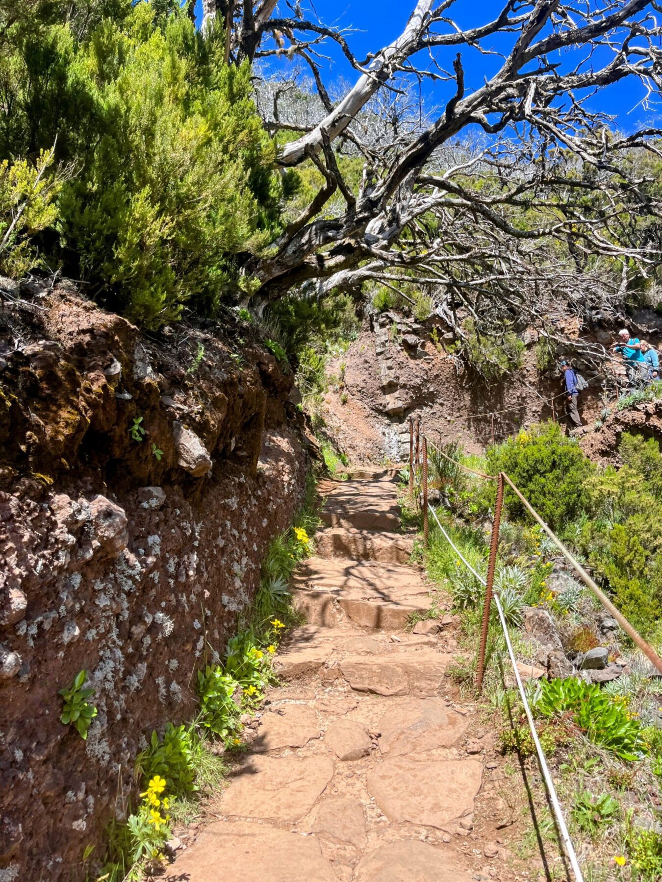 wanderung_pico_arieiro_pico_ruivo_