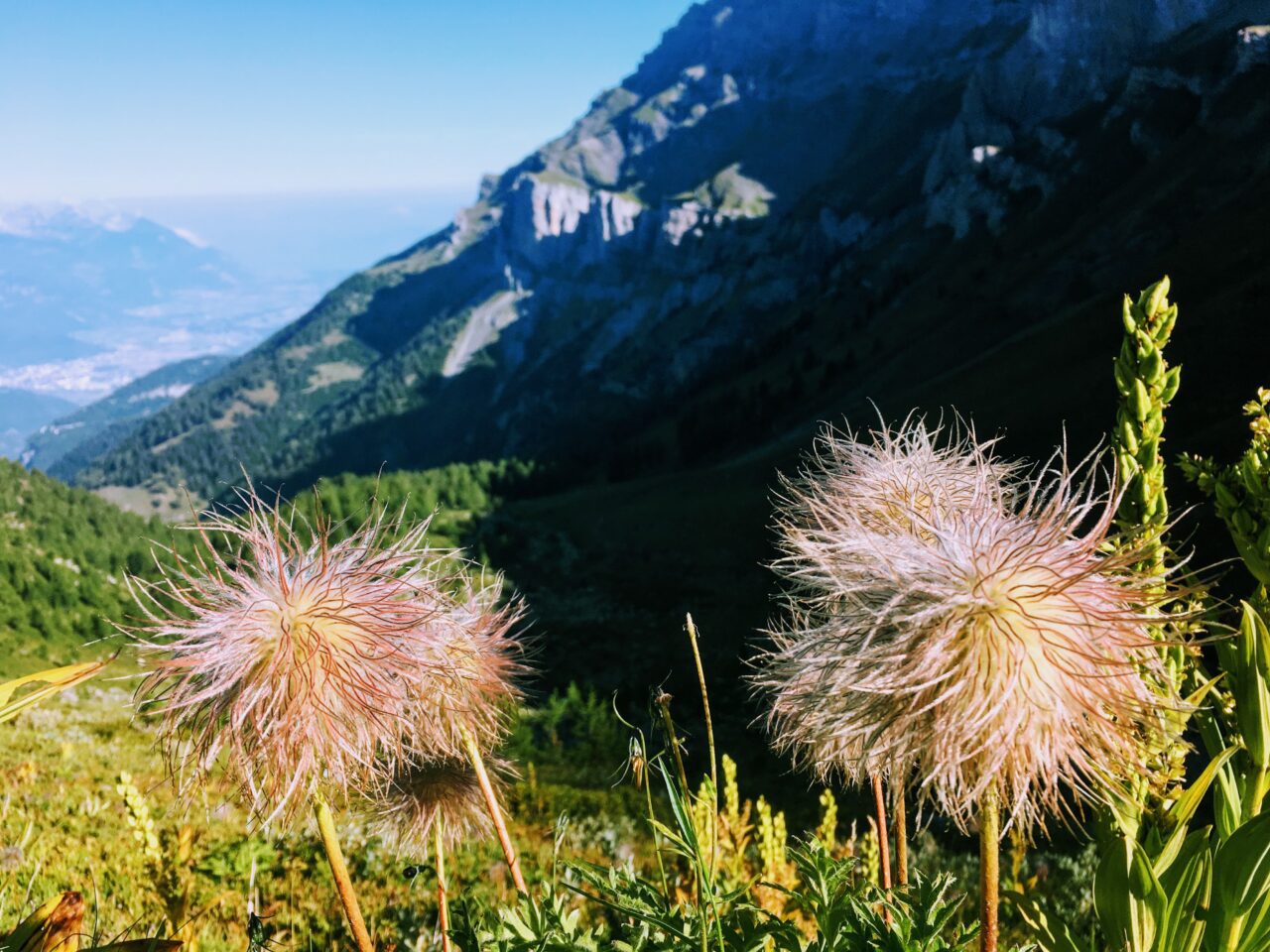 wanderung_tour_des_muverans_