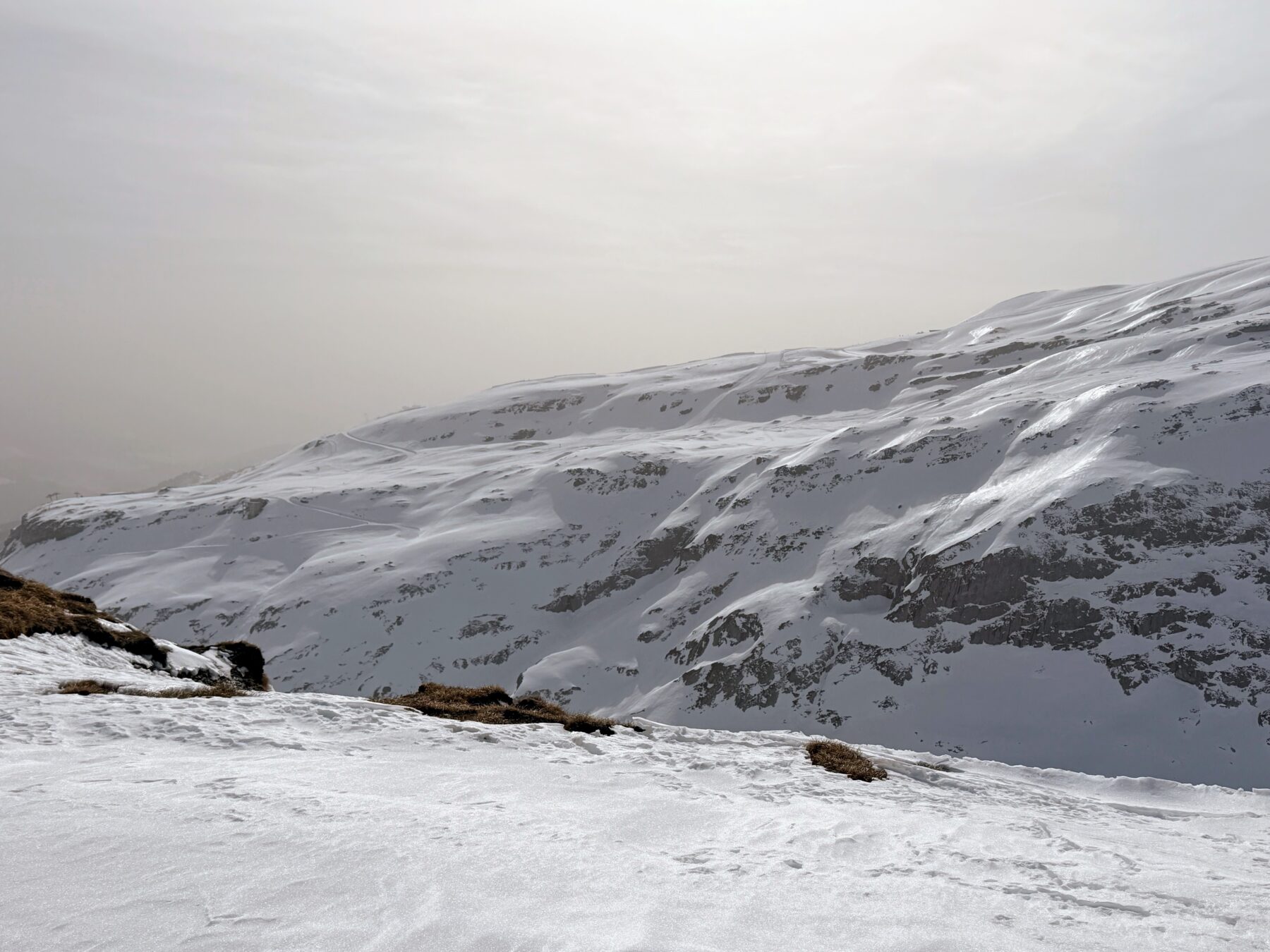 schneeschuh_safari_graubuenden_oberer_segnesboden_flims__IMG_0466