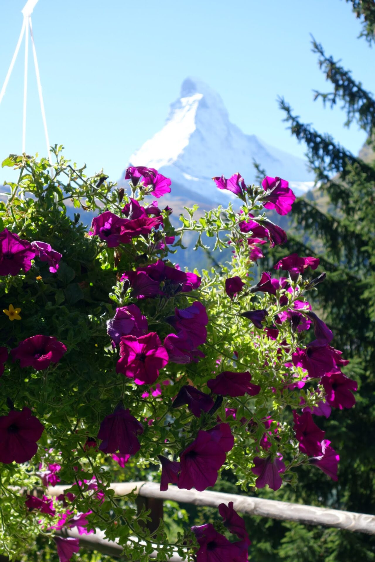 wanderung_matterhorn_trek_