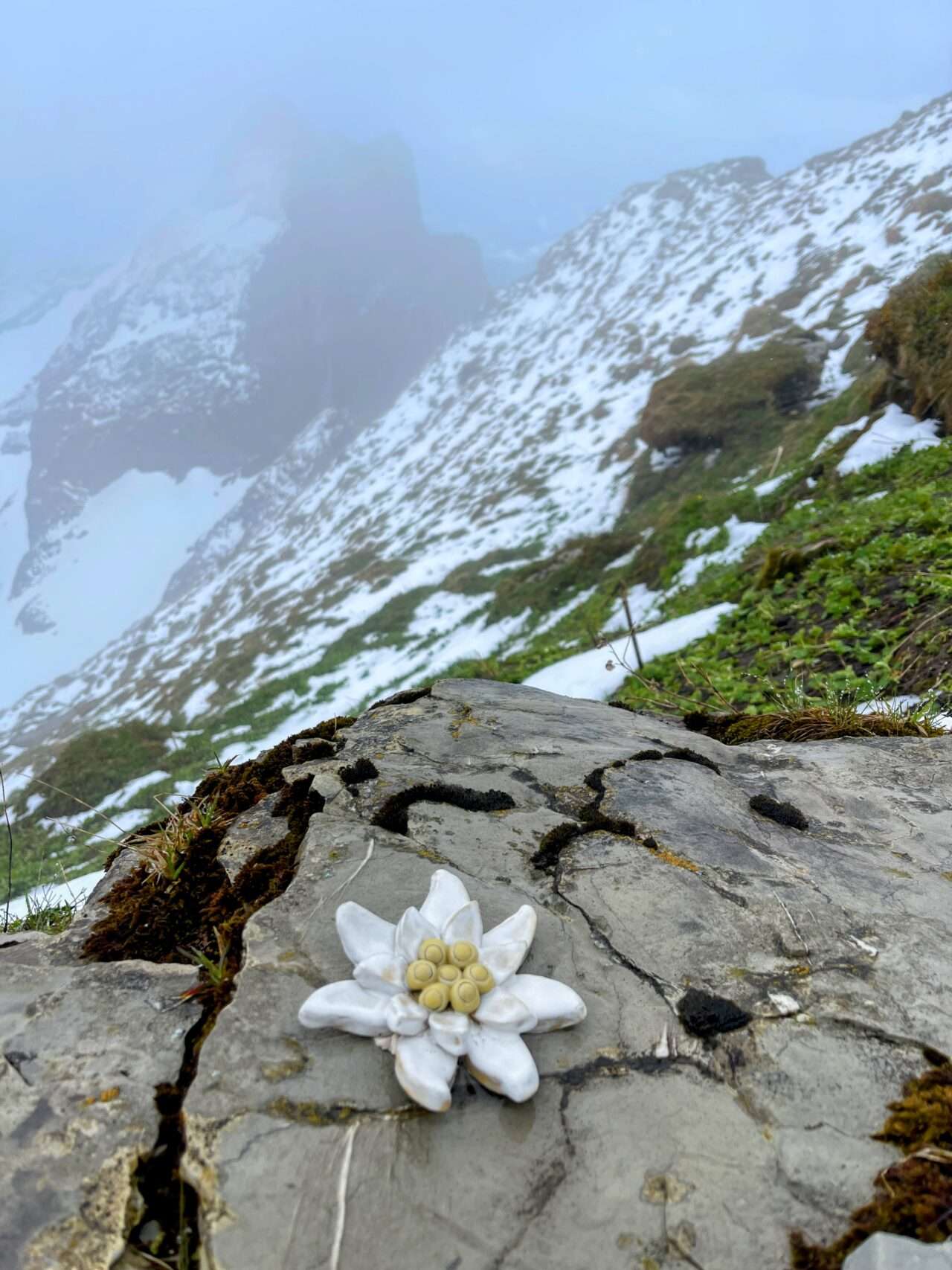 wanderung_arvenbuel_leistchamm_