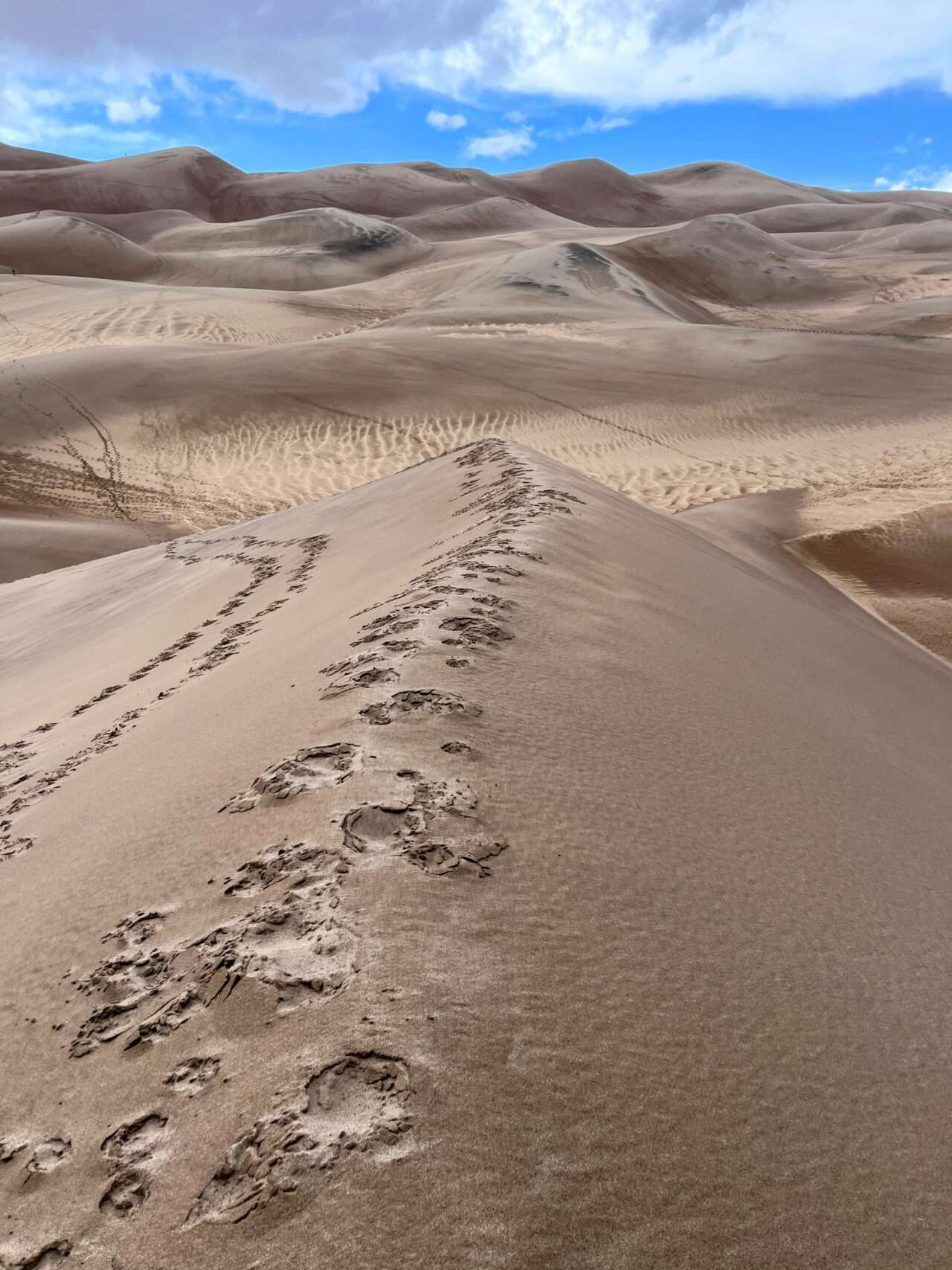 wanderung_great_sand_dunes_nationalpark_