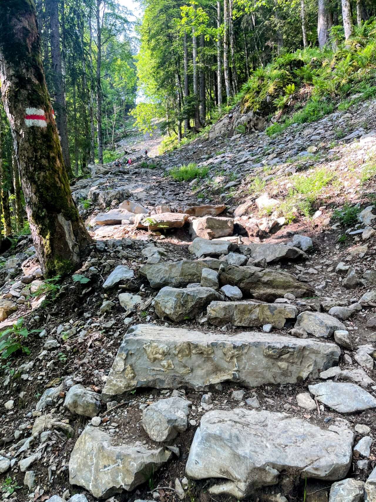 wanderung_brunni_hagenegg_mostelberg_sattel_
