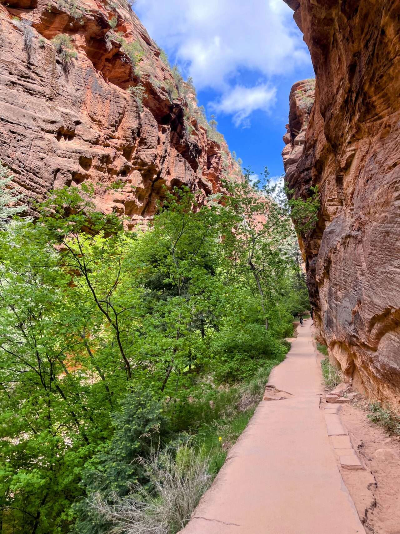 wanderung_zion_nationalpark_angels_landing_
