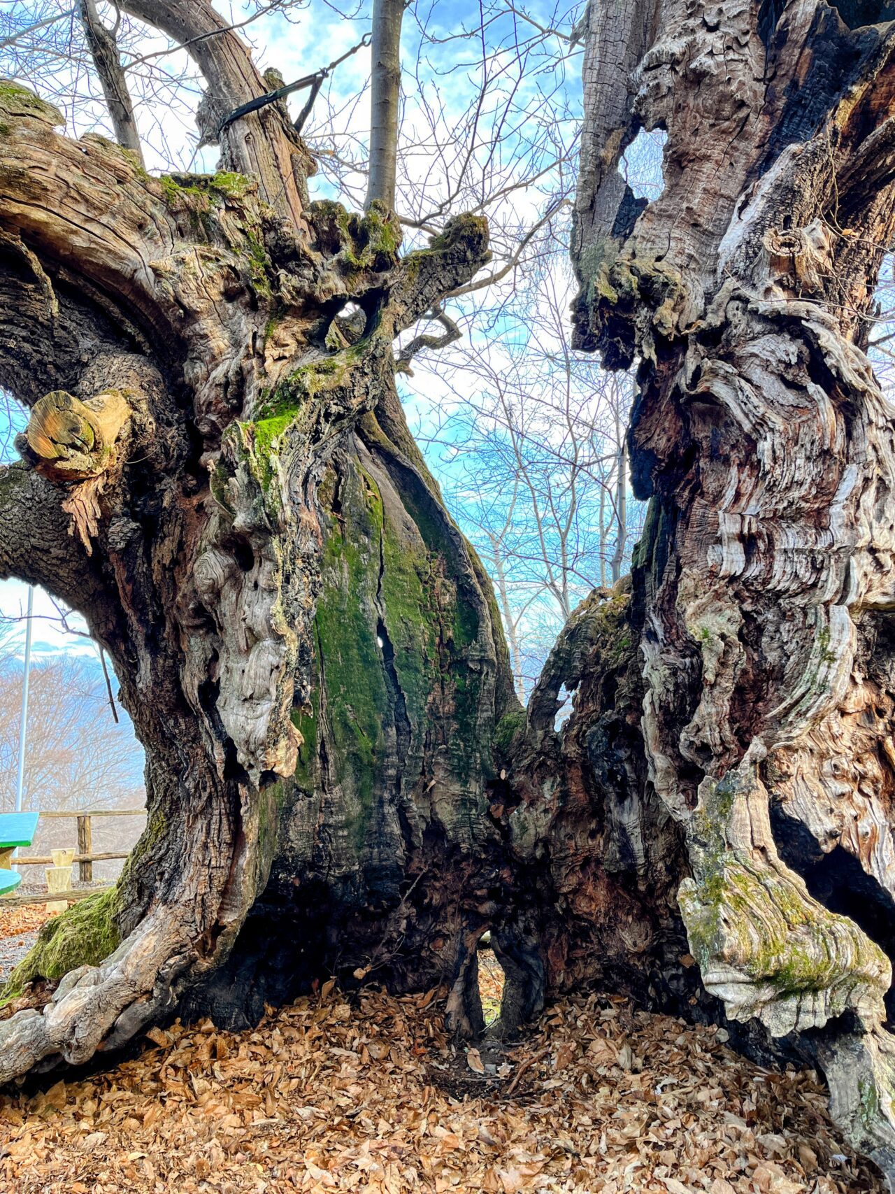 wanderung_transswiss_etappen_29_bis_32_bellinzona_mendrisio_