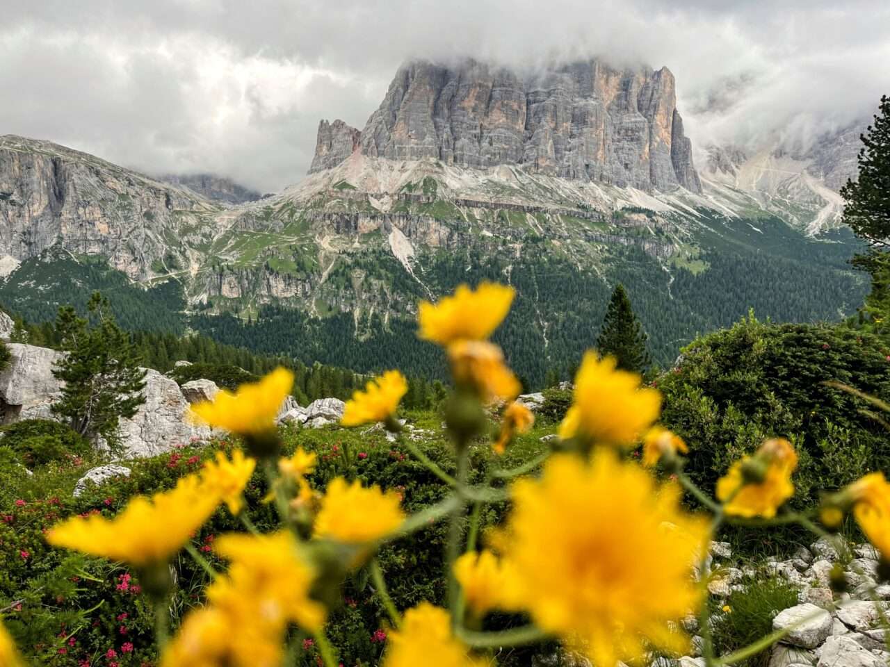 wanderung_dolomiten_hoehenweg_1_etappe_4_rifugio_lagazuoi_rifugio_cinque_torri_