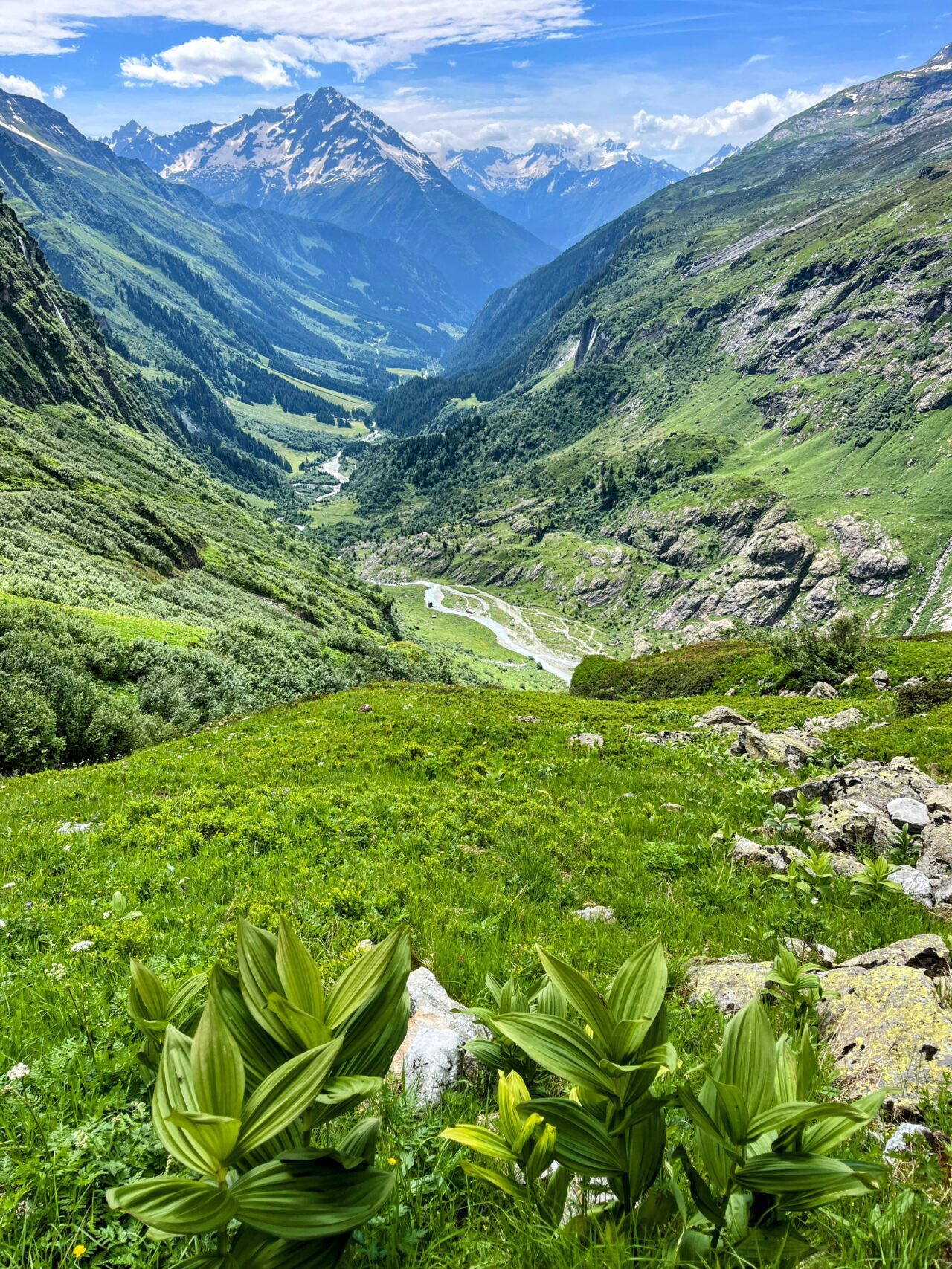 wanderung_bristen_hüfihütte_