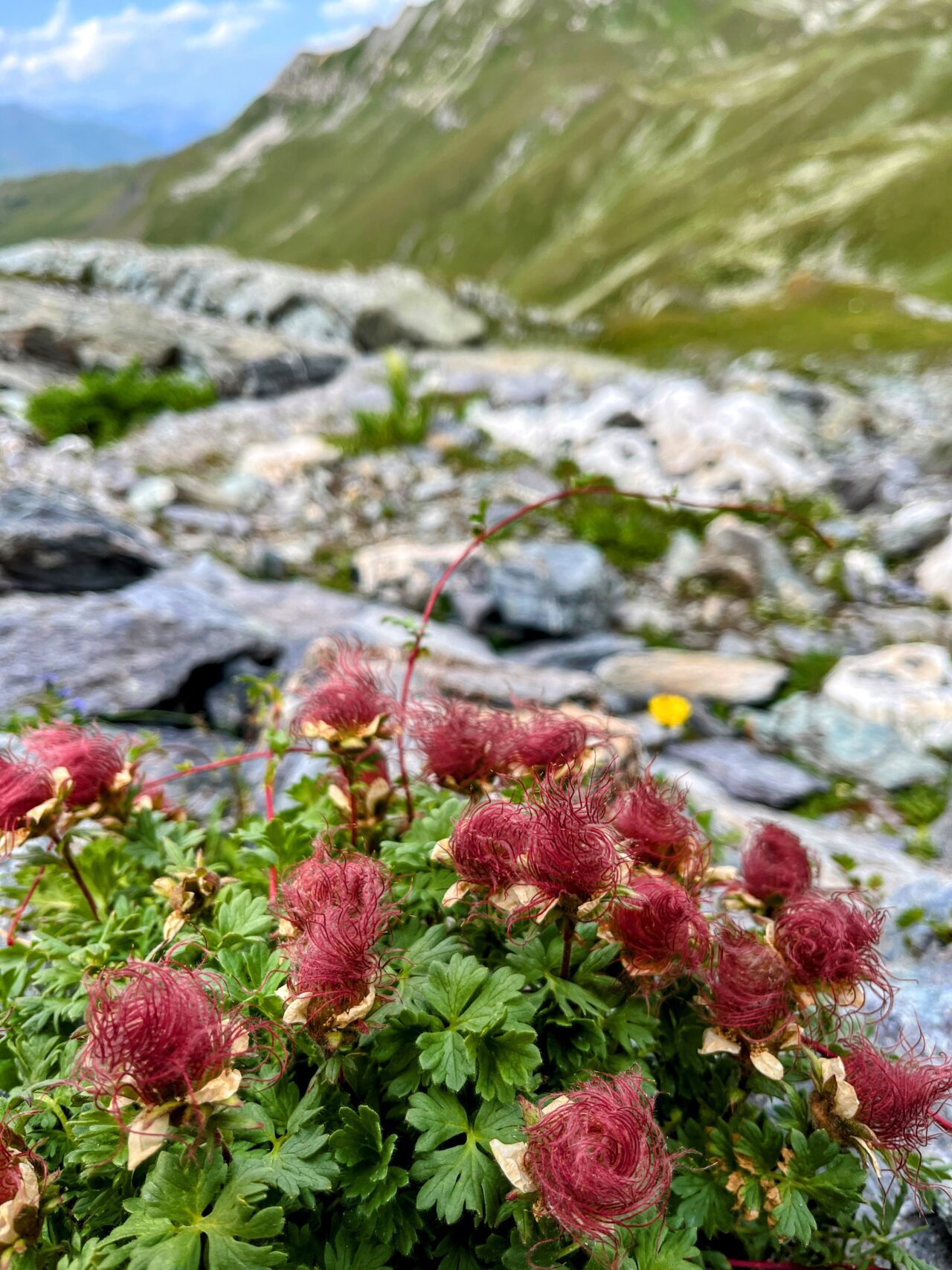 wanderung_parc_ela_trek_tag_1_julierpass_alp_flix_berghaus_piz_platta_
