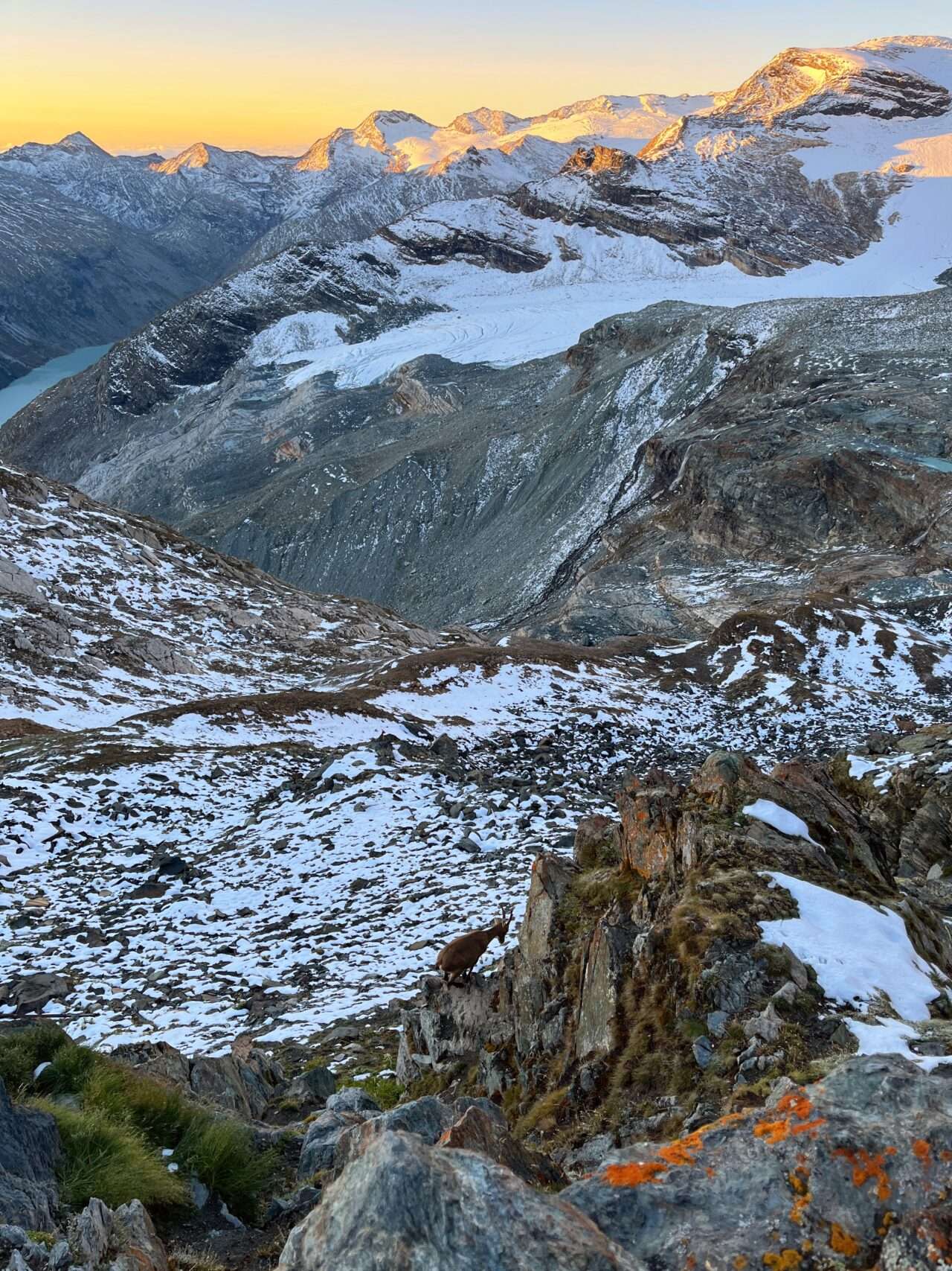 wanderung_saaser_huettentour_tag_3_britanniahuette_mischabelhuette_
